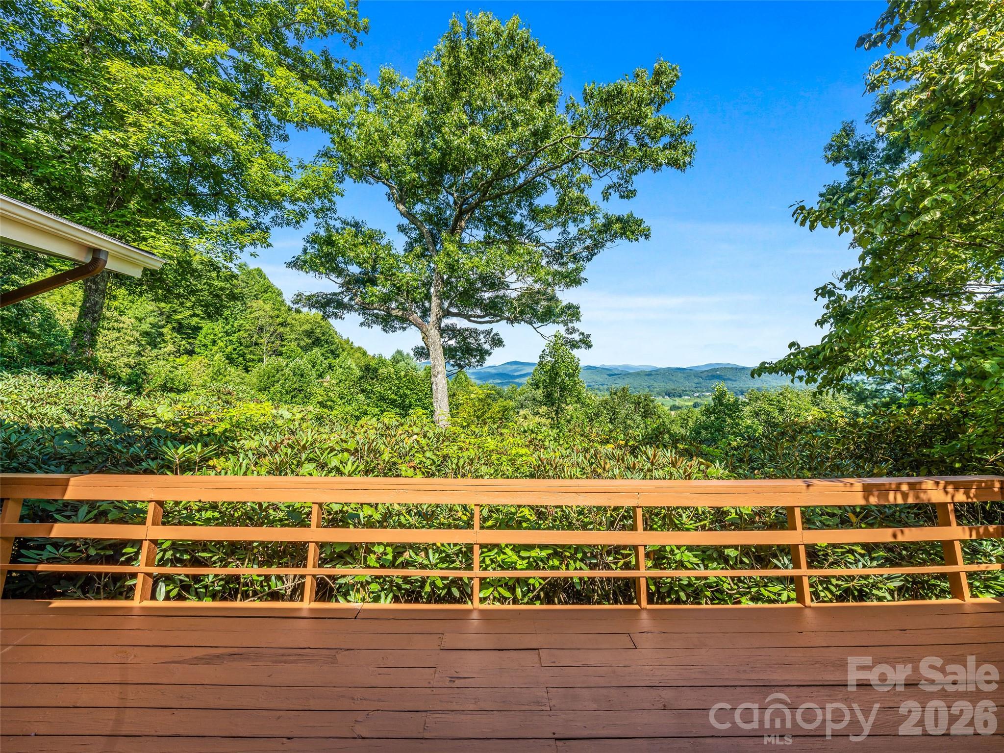 252 Middlemount Road Property Photo 35