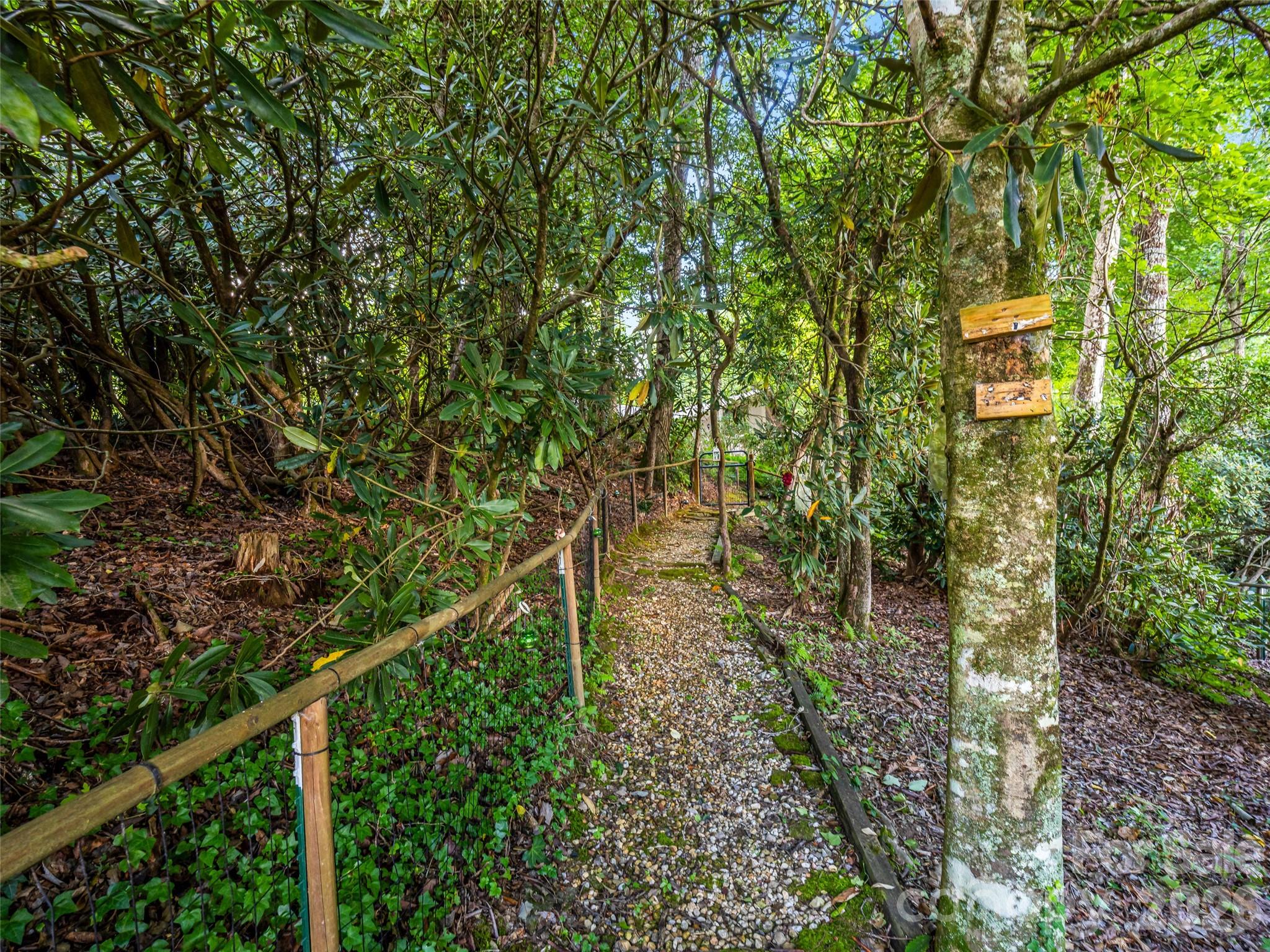 252 Middlemount Road Property Photo 40