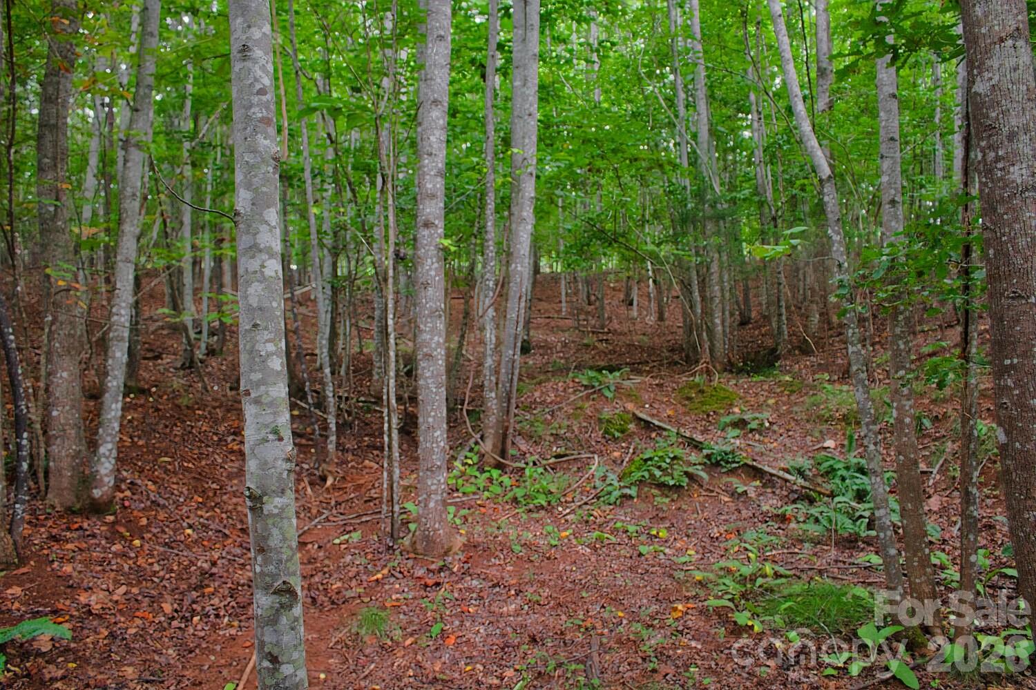 0 Creekside Circle 110 Property Photo 1