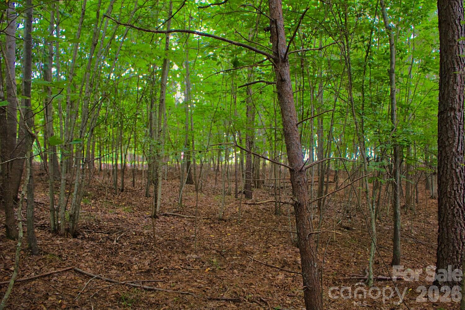 0 Creekside Circle 110 Property Photo 2