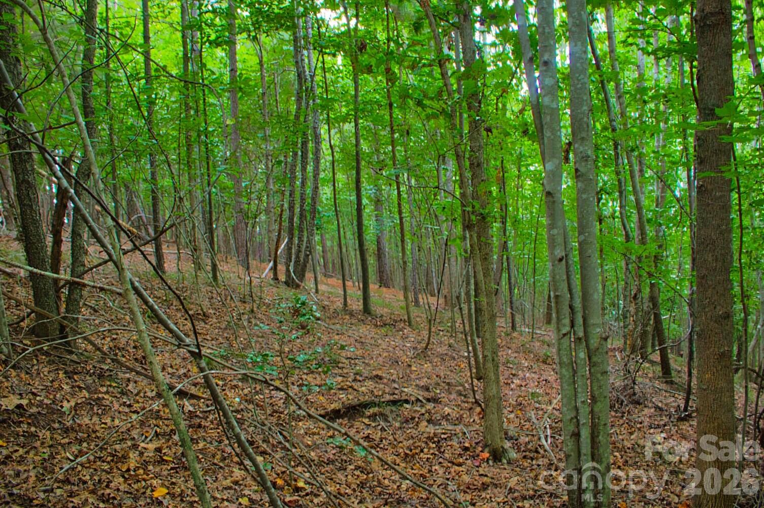 0 Creekside Circle 110 Property Photo 3