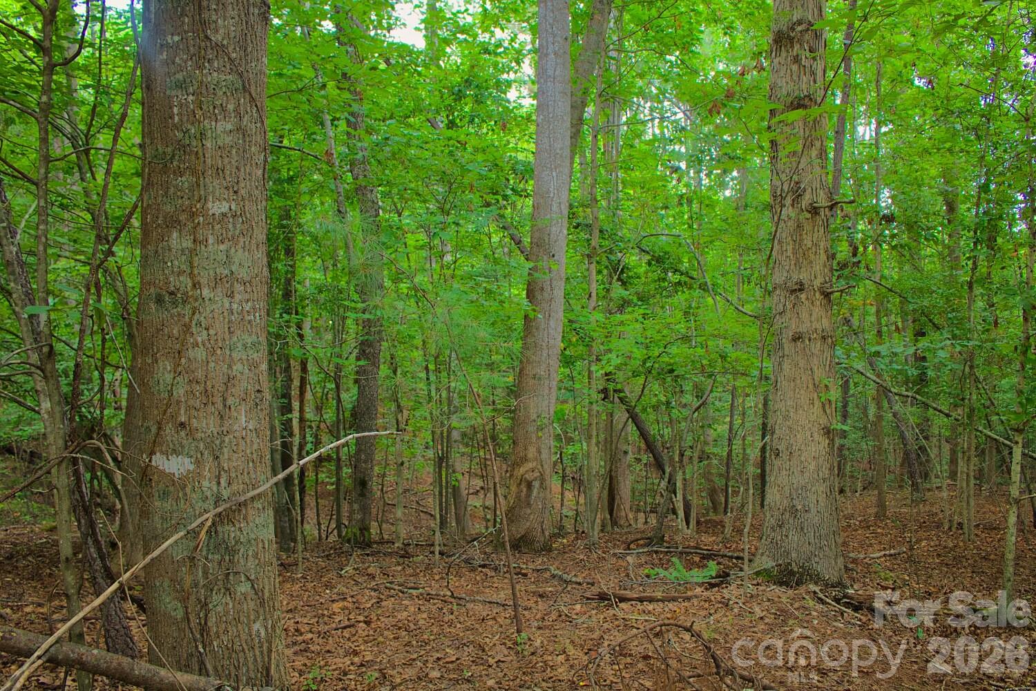 0 Creekside Circle 110 Property Photo 4