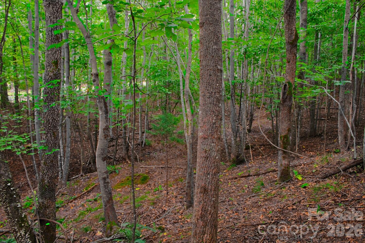 0 Creekside Circle 110 Property Photo 5