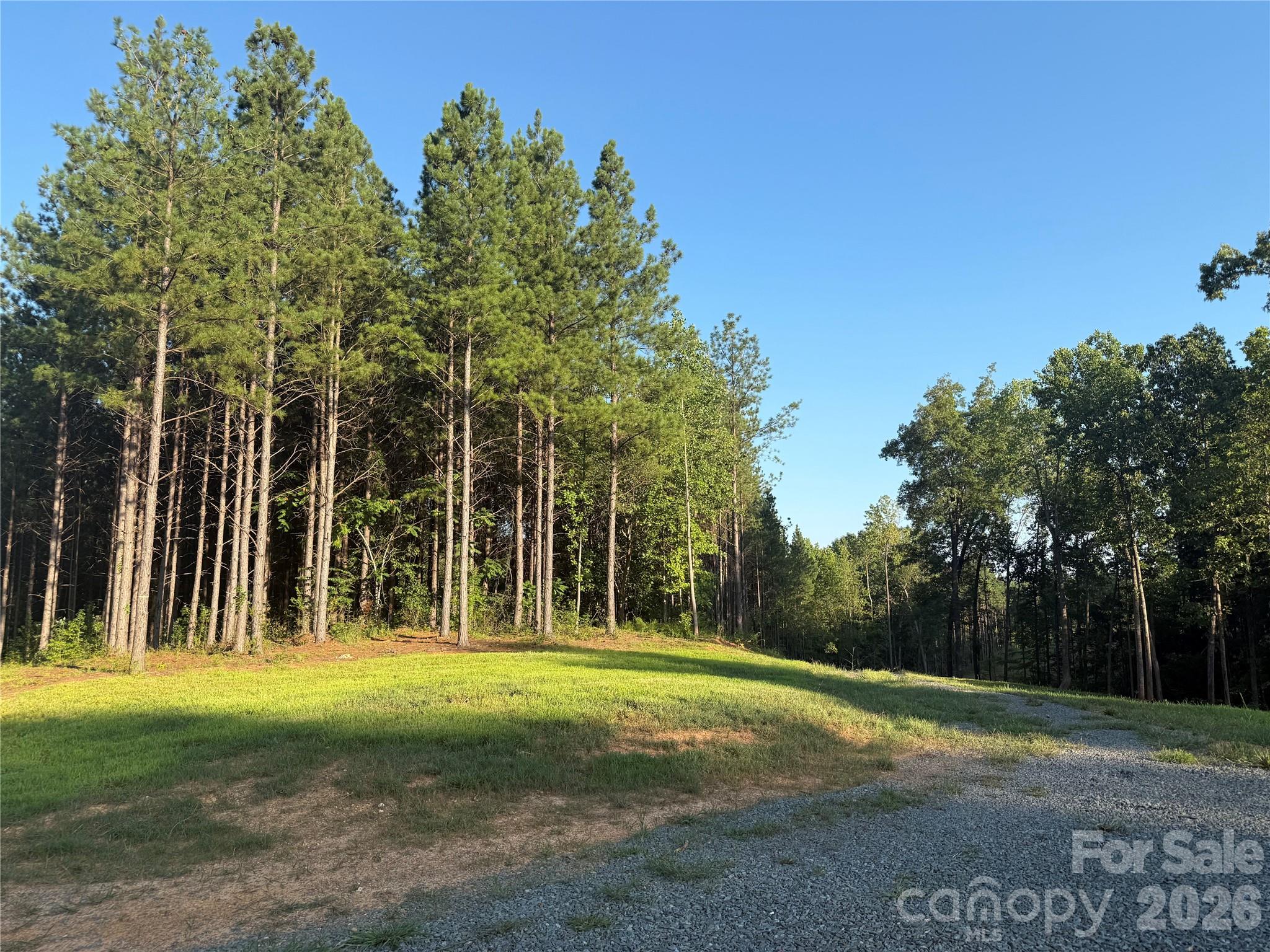 10320 Fink Road 2 Property Photo 3