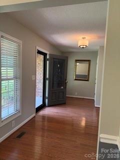 1005 Spring Rock Drive Property Photo 16