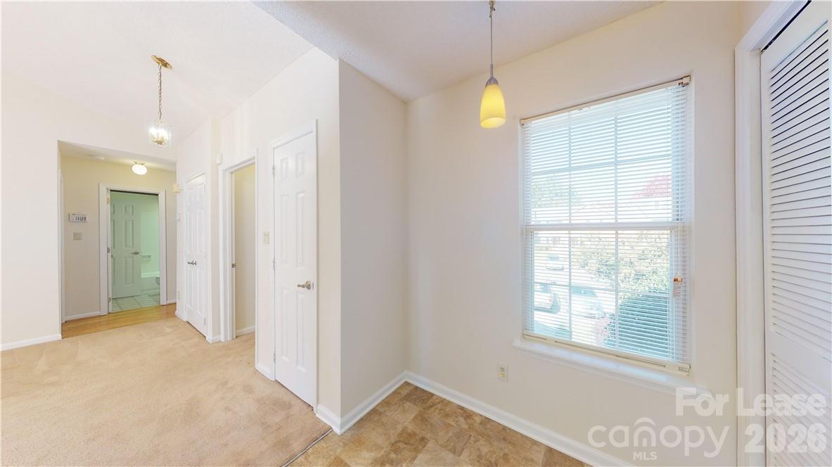 5622 Amity Springs Drive Property Photo 9