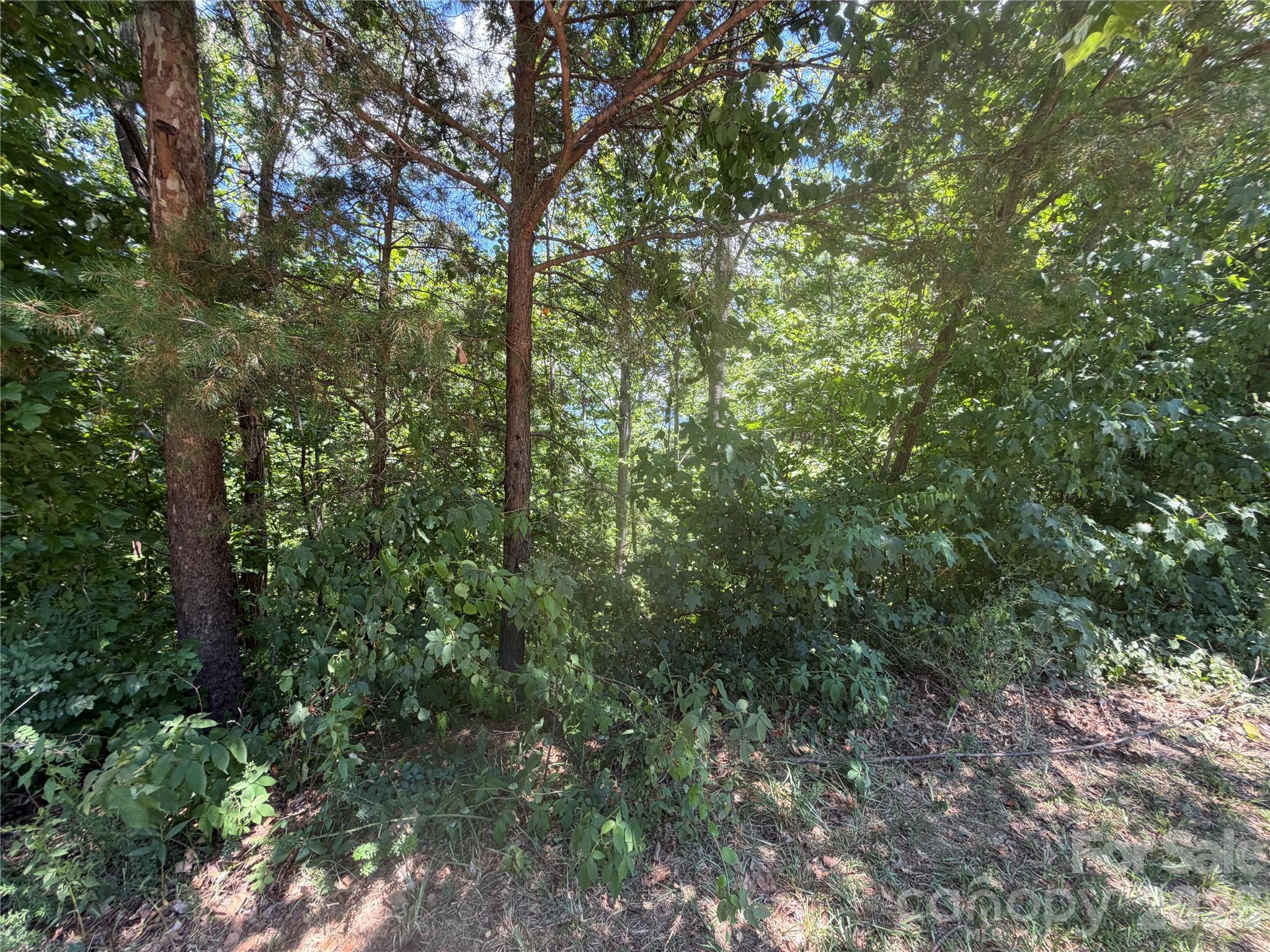 00 Holland Drive 24 Property Photo 13