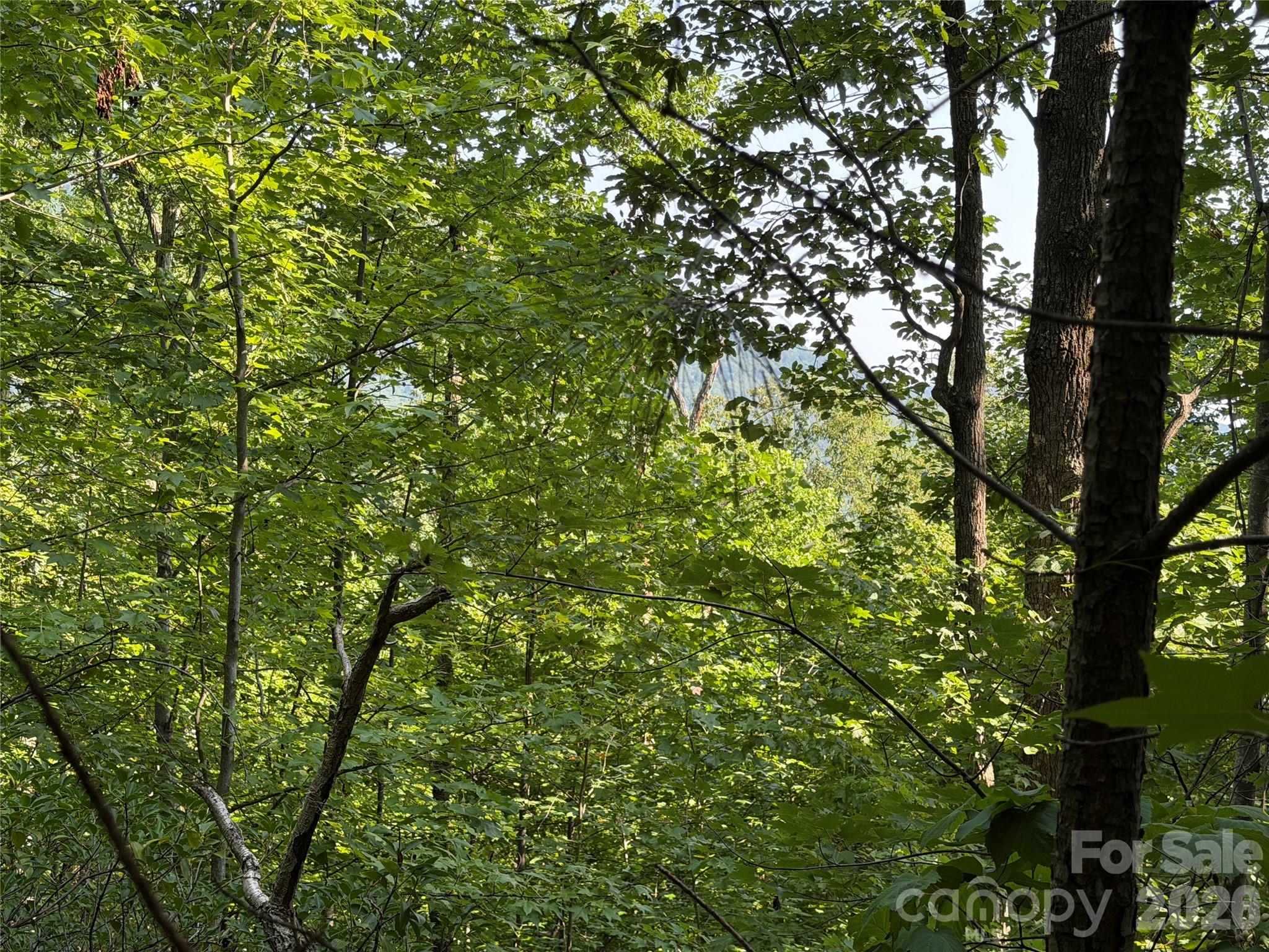 00 Holland Drive 24 Property Photo 30