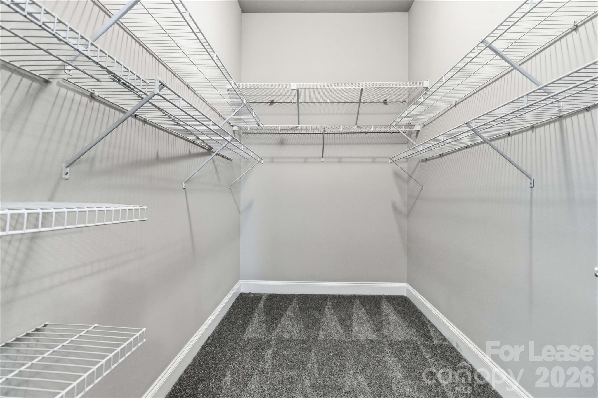 7819 Chaddsley Drive Property Photo 17