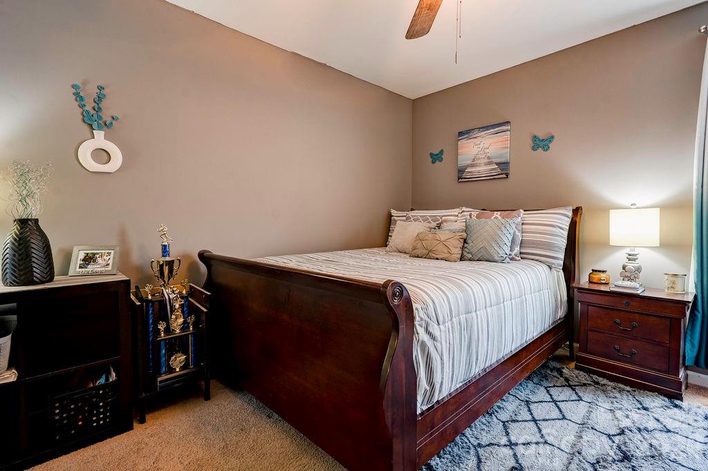 3219 Pikes Peak Drive Property Photo 41