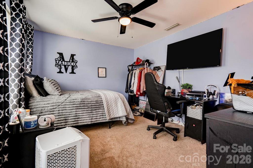 3219 Pikes Peak Drive Property Photo 47