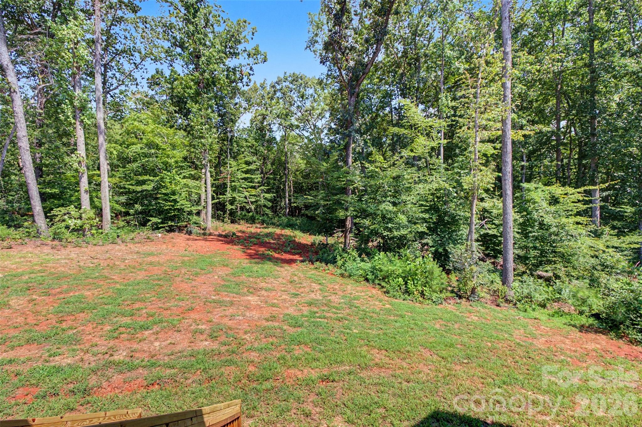 3165 Timber Run Lane Property Photo 36