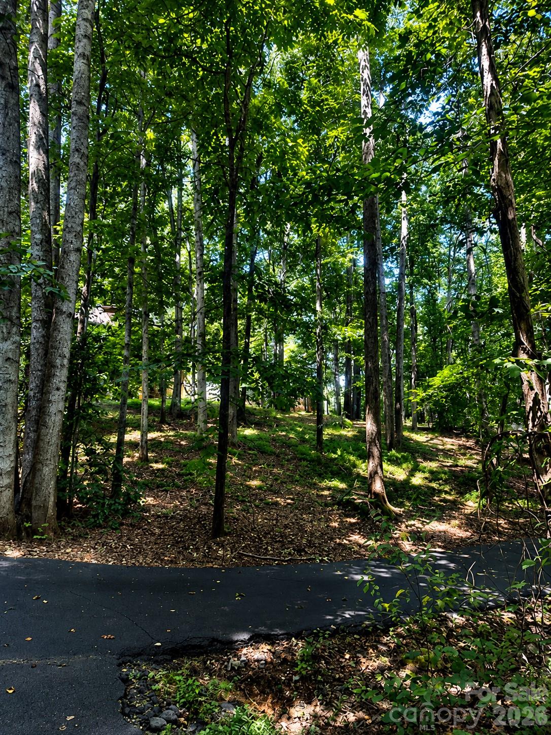 51 Sleepy Forest Drive Property Photo 46