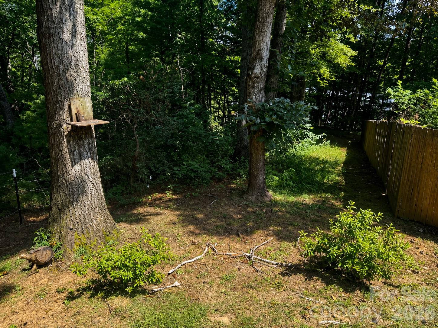 51 Sleepy Forest Drive Property Photo 47