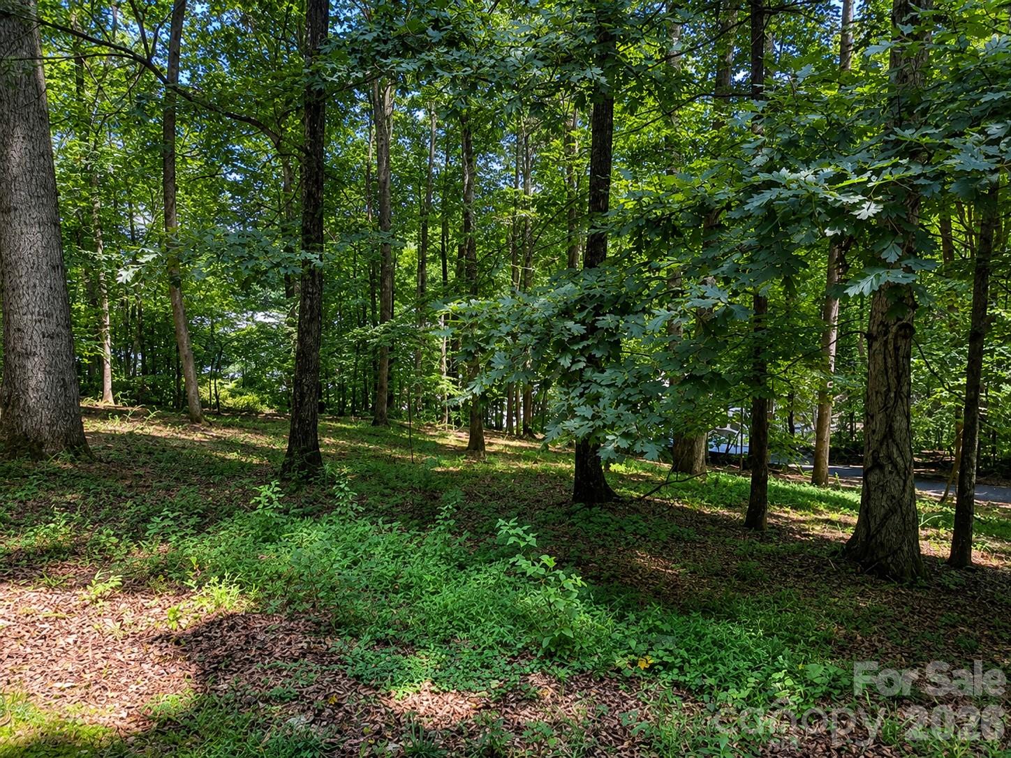 51 Sleepy Forest Drive Property Photo 48