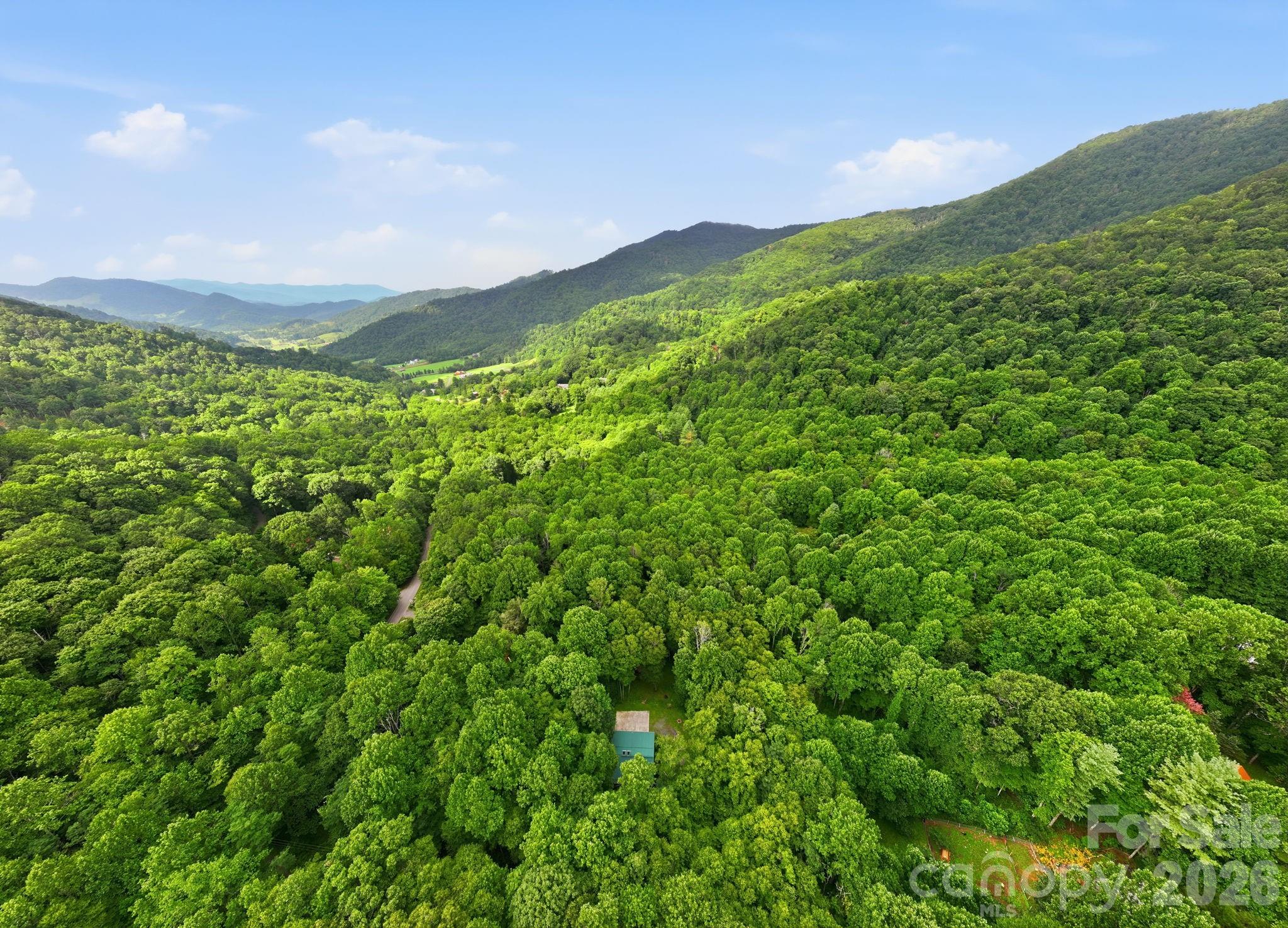 4035 Bald Creek Road Property Photo 37