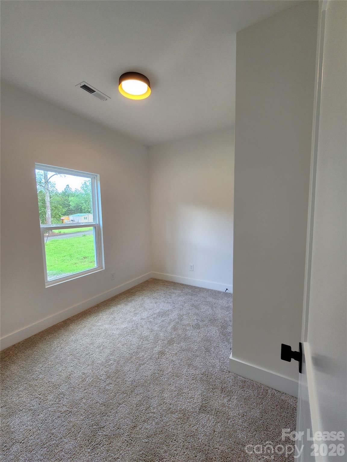 217 Carlie Street Property Photo 7