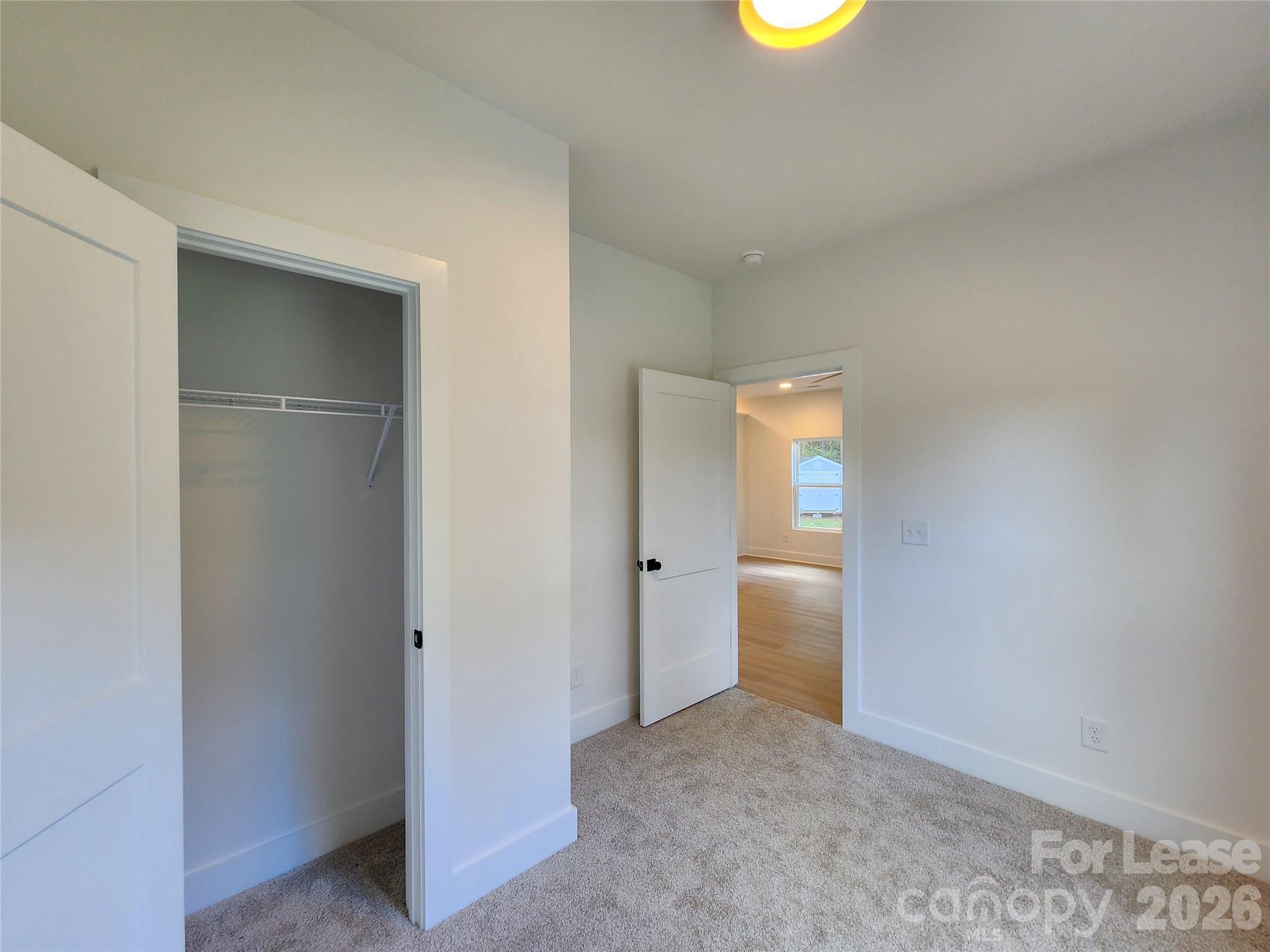 217 Carlie Street Property Photo 8