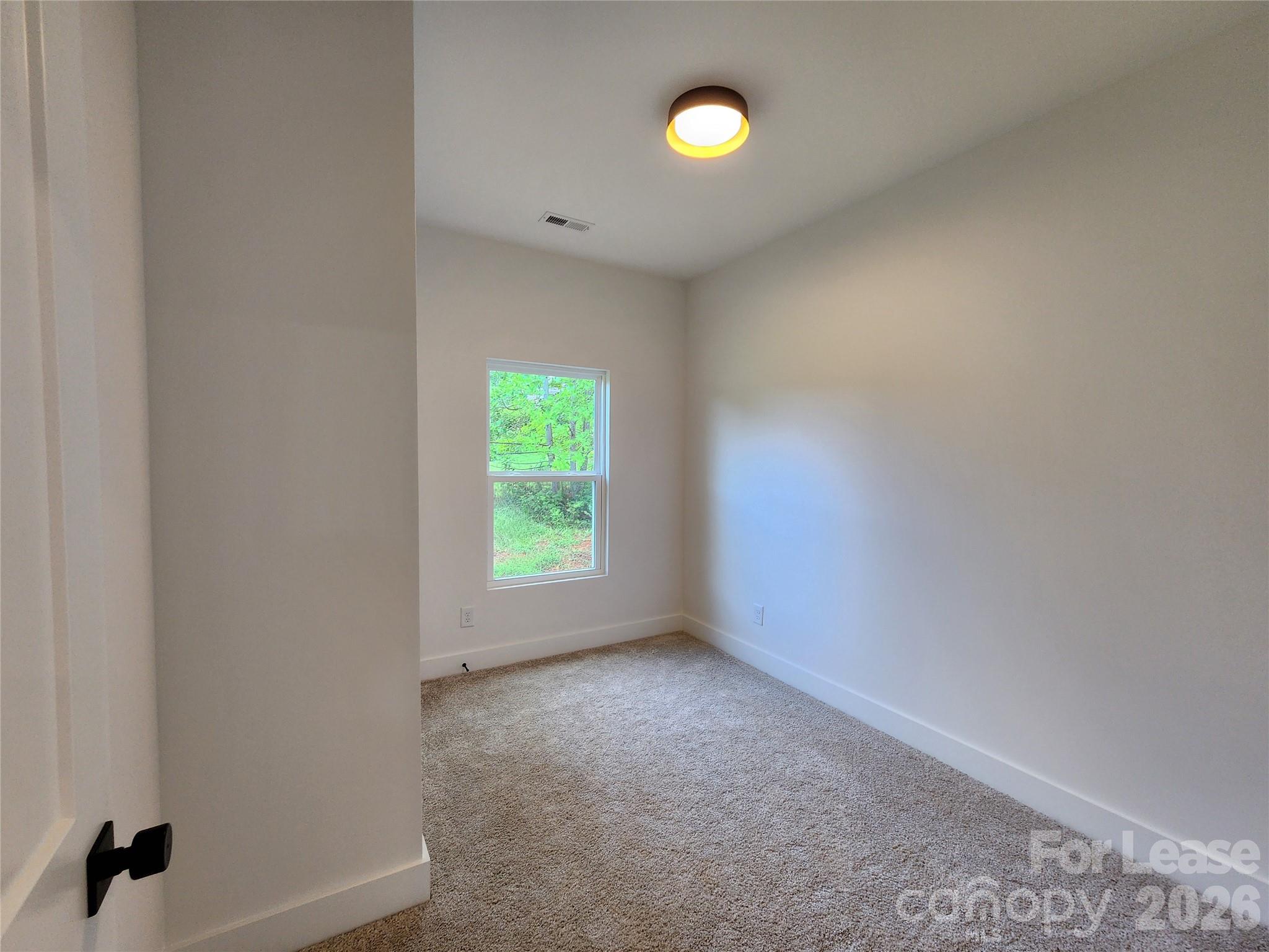 217 Carlie Street Property Photo 10