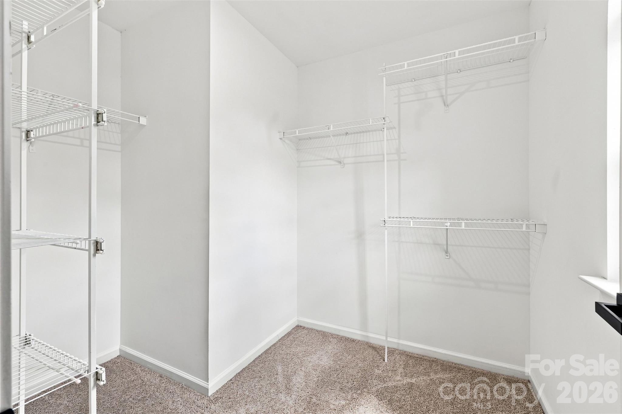 505 Whitehead Court Property Photo 24