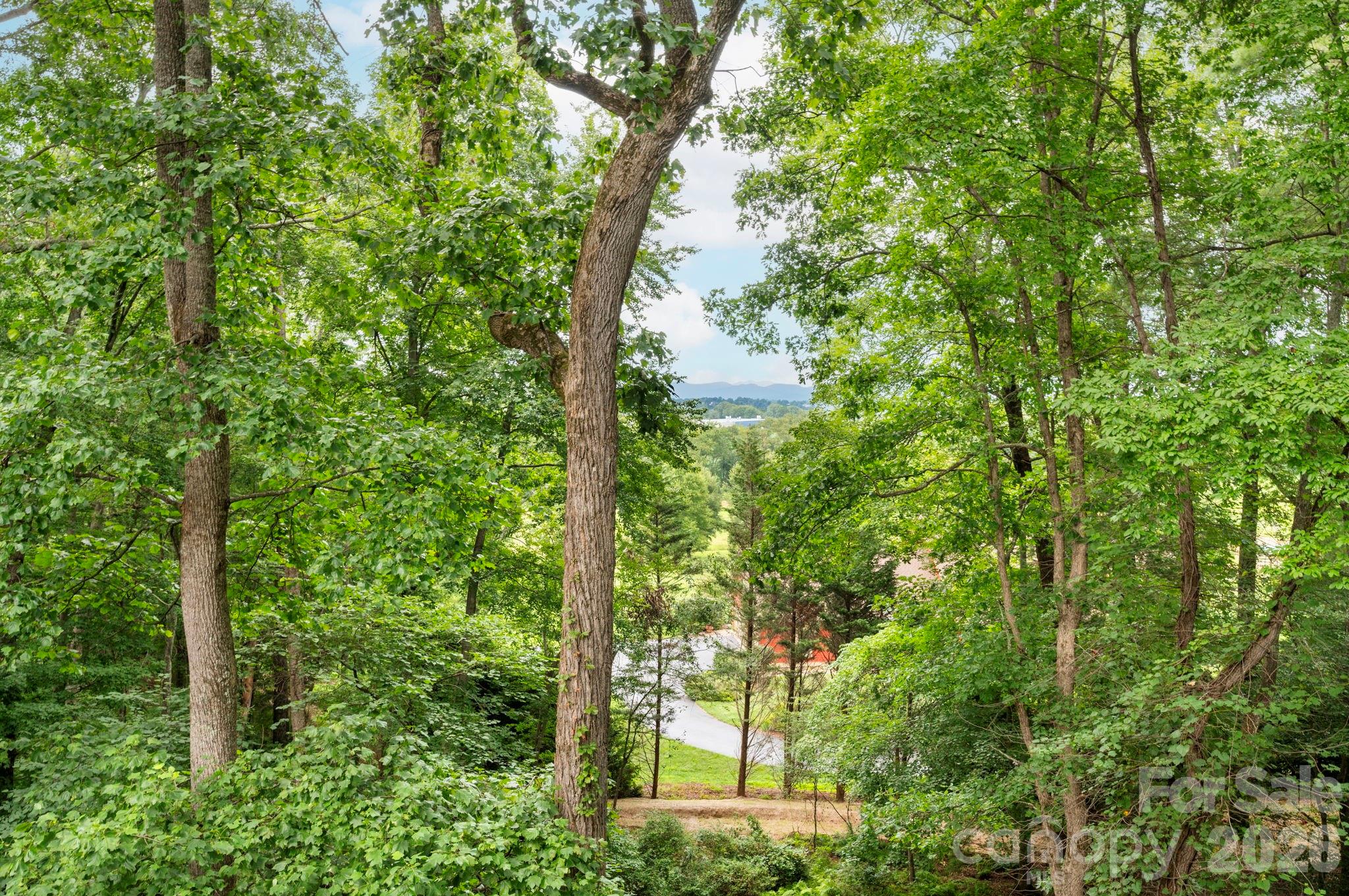 232 Ladson Spring Trail Property Photo 17