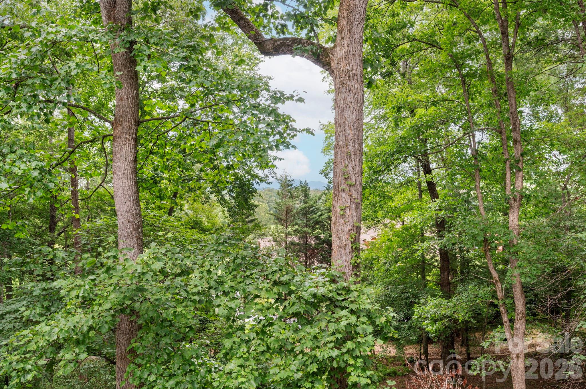 232 Ladson Spring Trail Property Photo 34