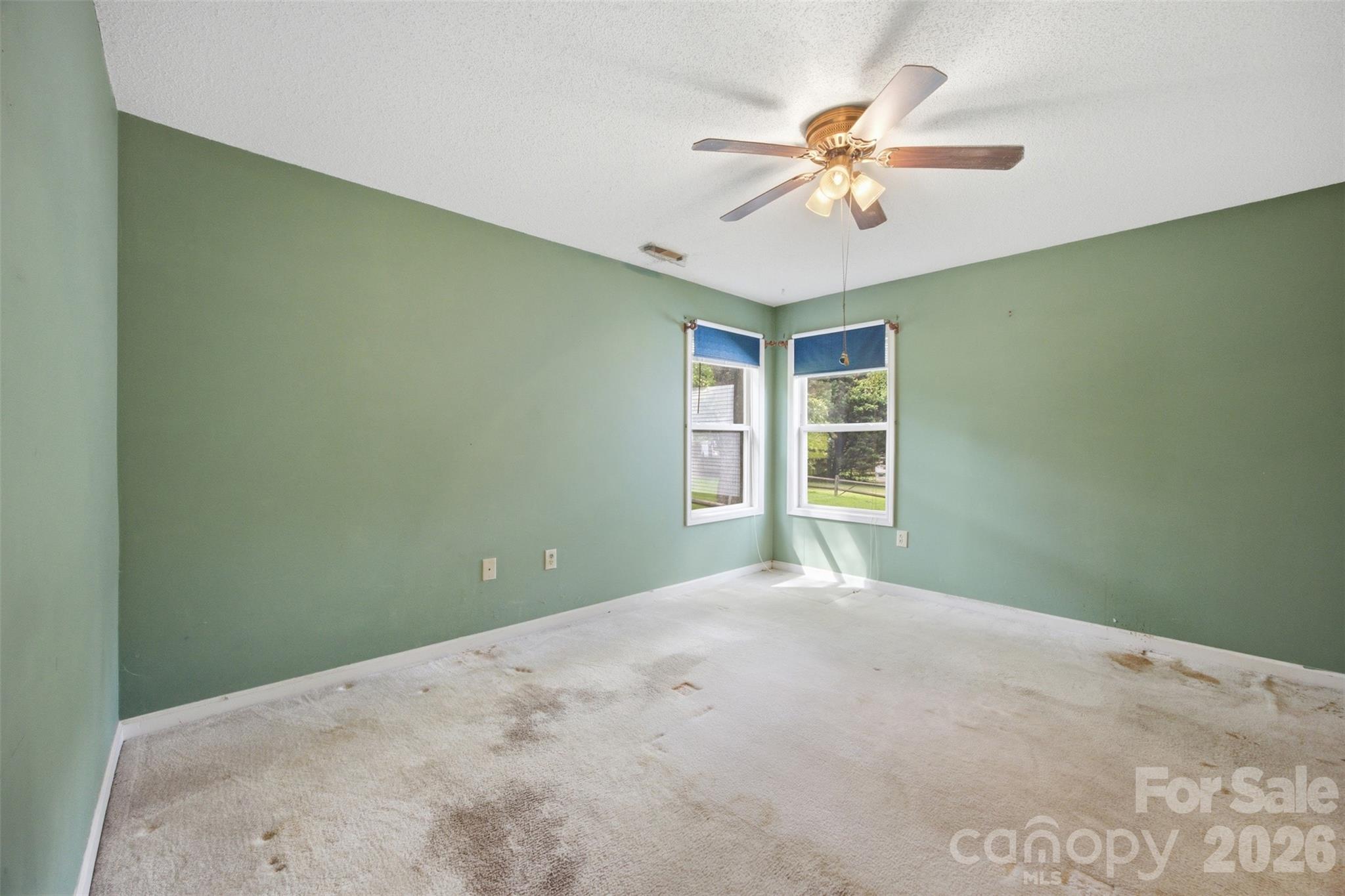 103 Watson Street Property Photo 21