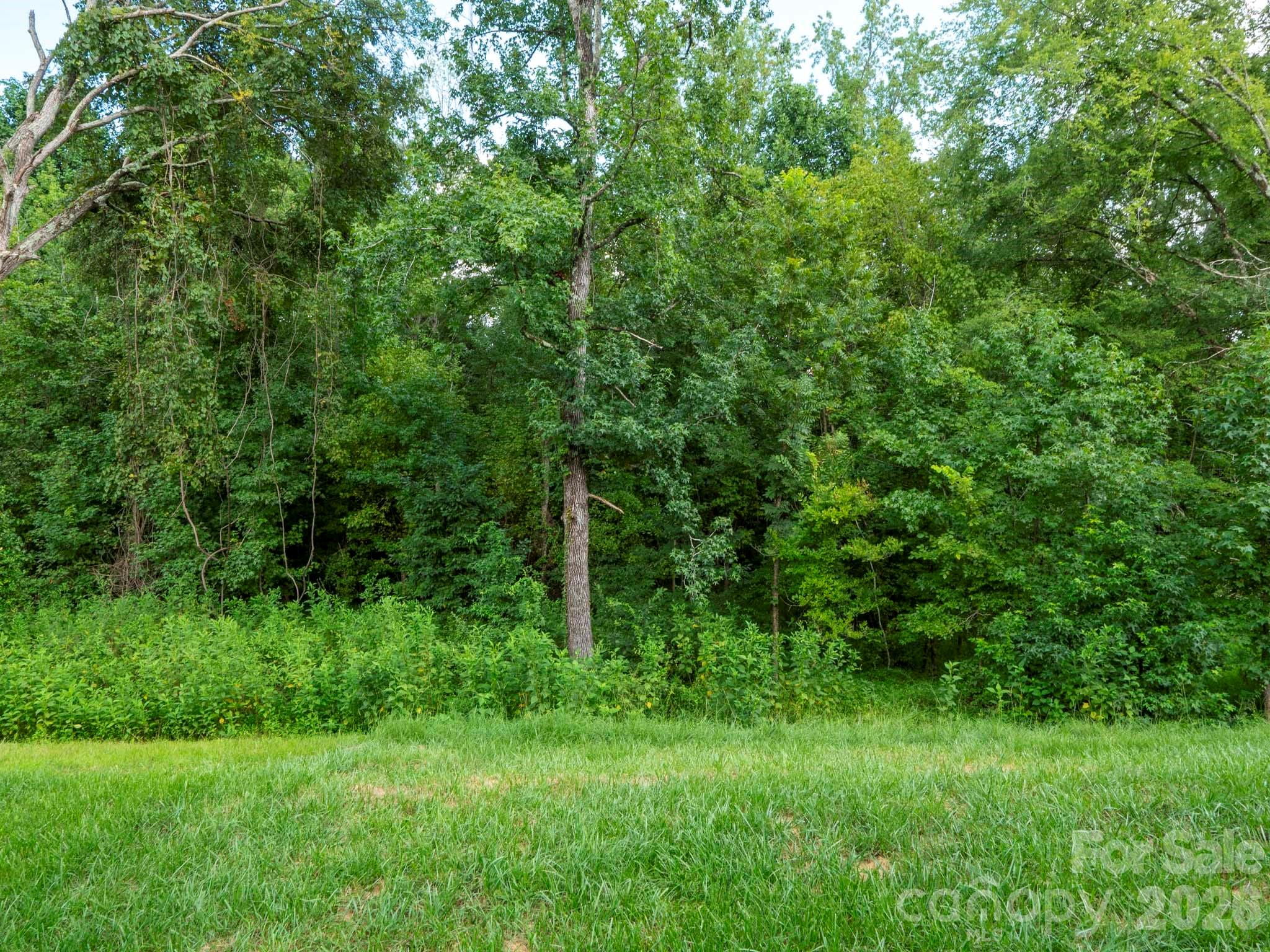 7203 Stoney Wood Lane Property Photo 28