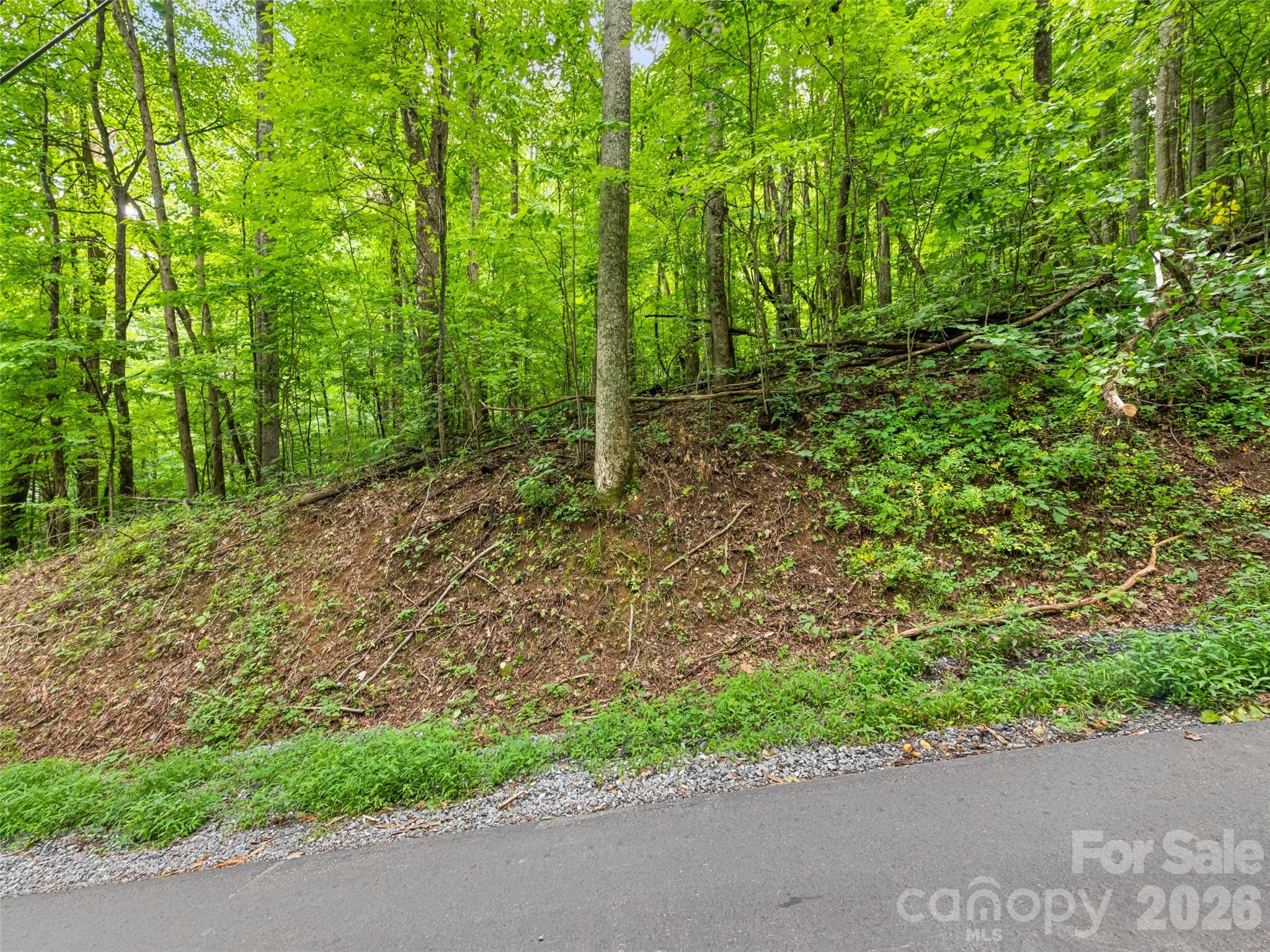 00 Dogwood Trail 21&22 Property Photo 1