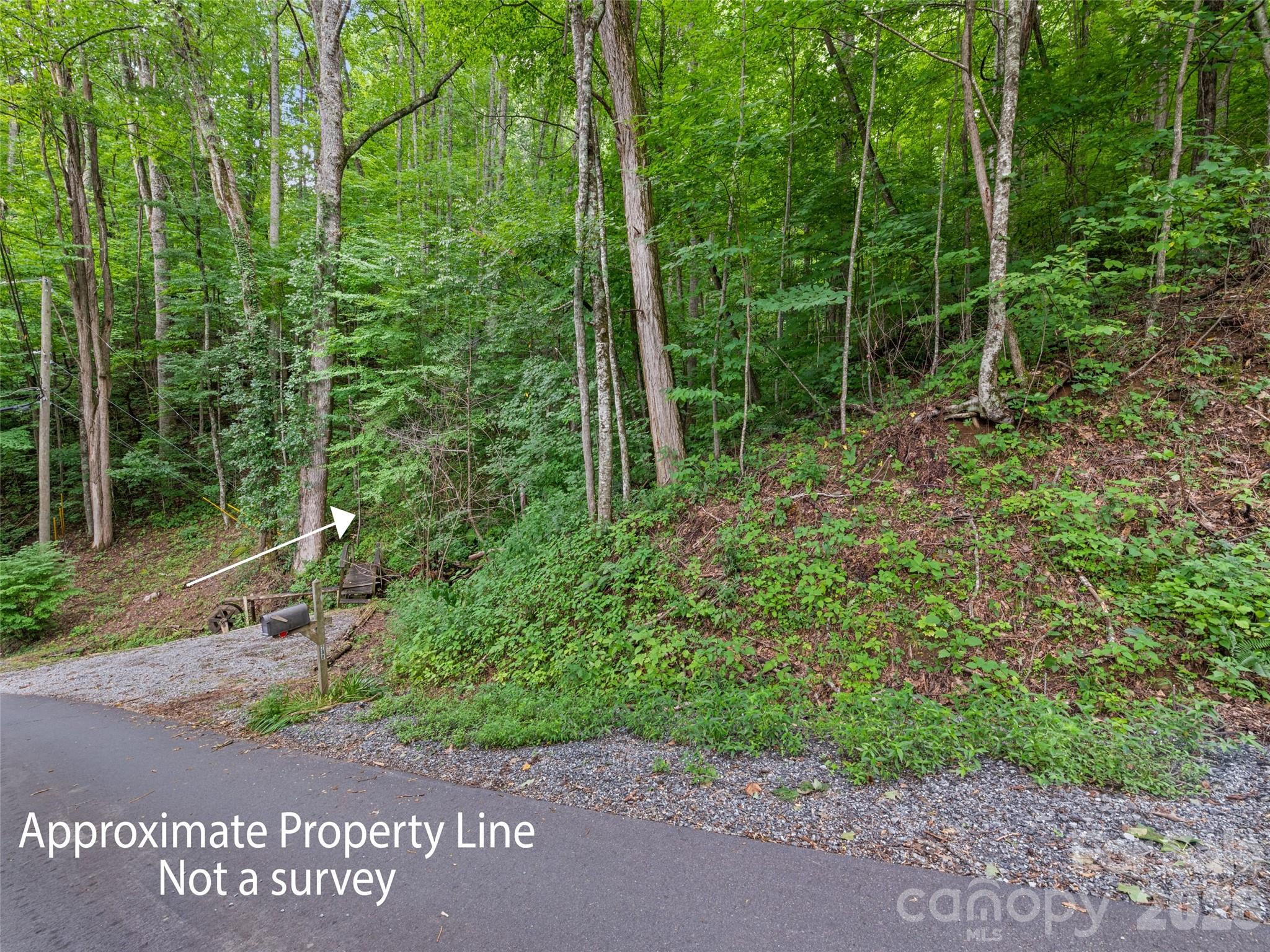 00 Dogwood Trail 21&22 Property Photo 3