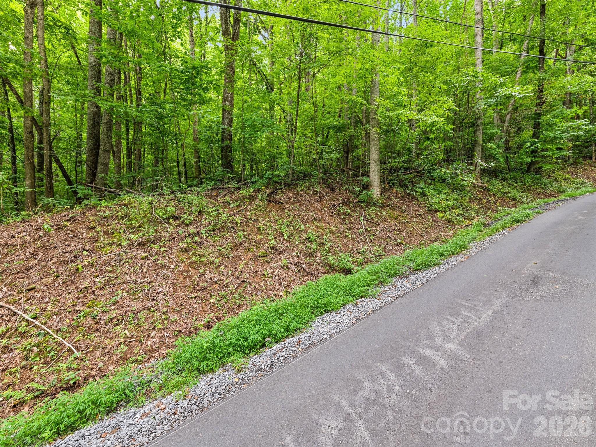 00 Dogwood Trail 21&22 Property Photo 7
