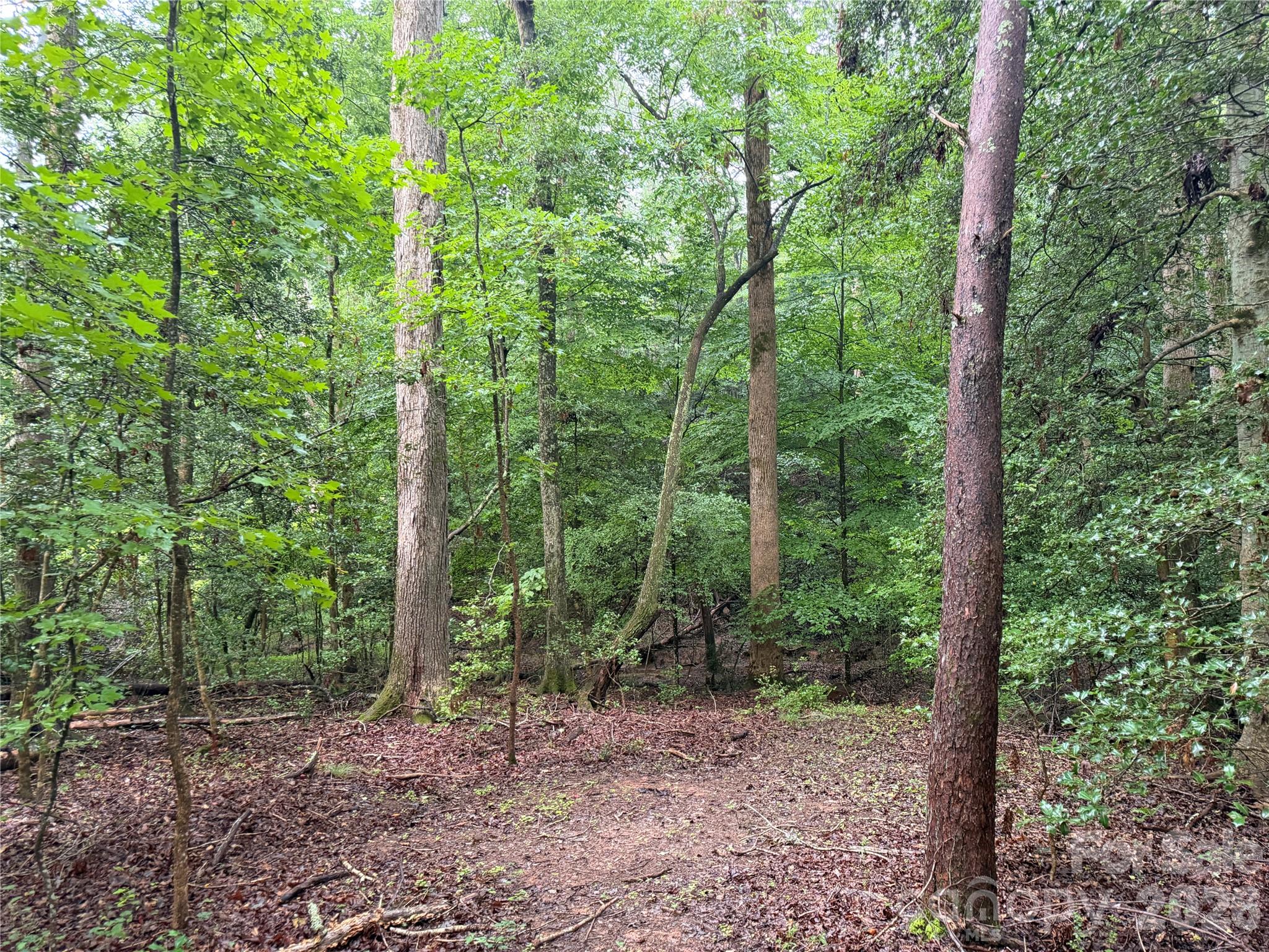 00 Whitt Road Property Photo 3