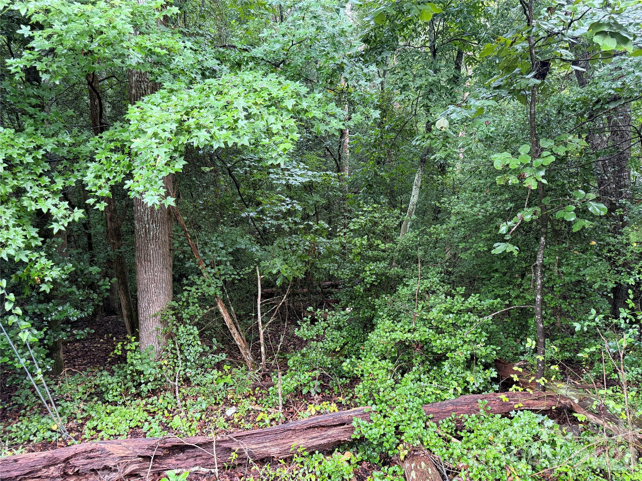 00 Whitt Road Property Photo 8