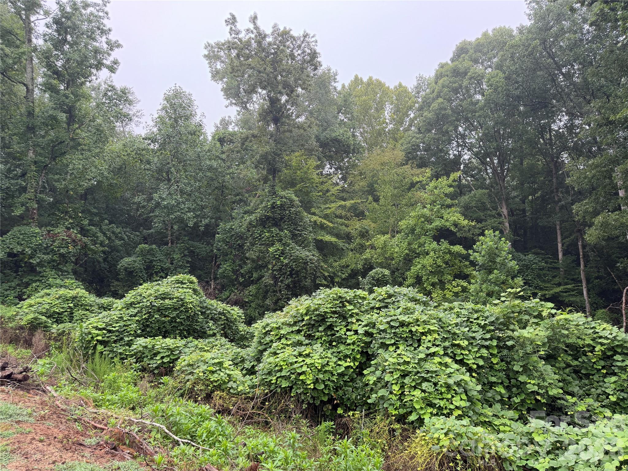 00 Whitt Road Property Photo 14