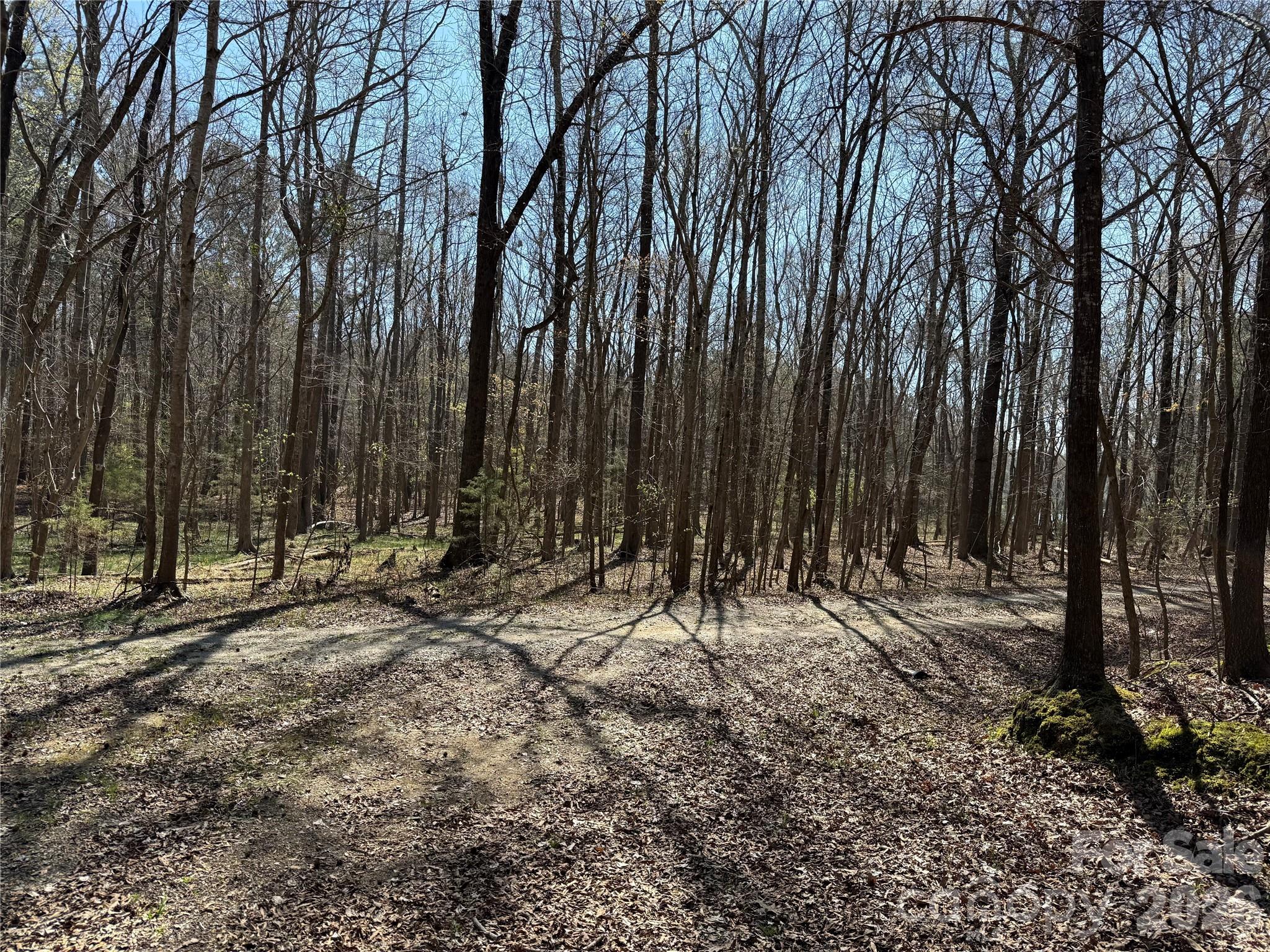 3227 Legend Road Property Photo 13