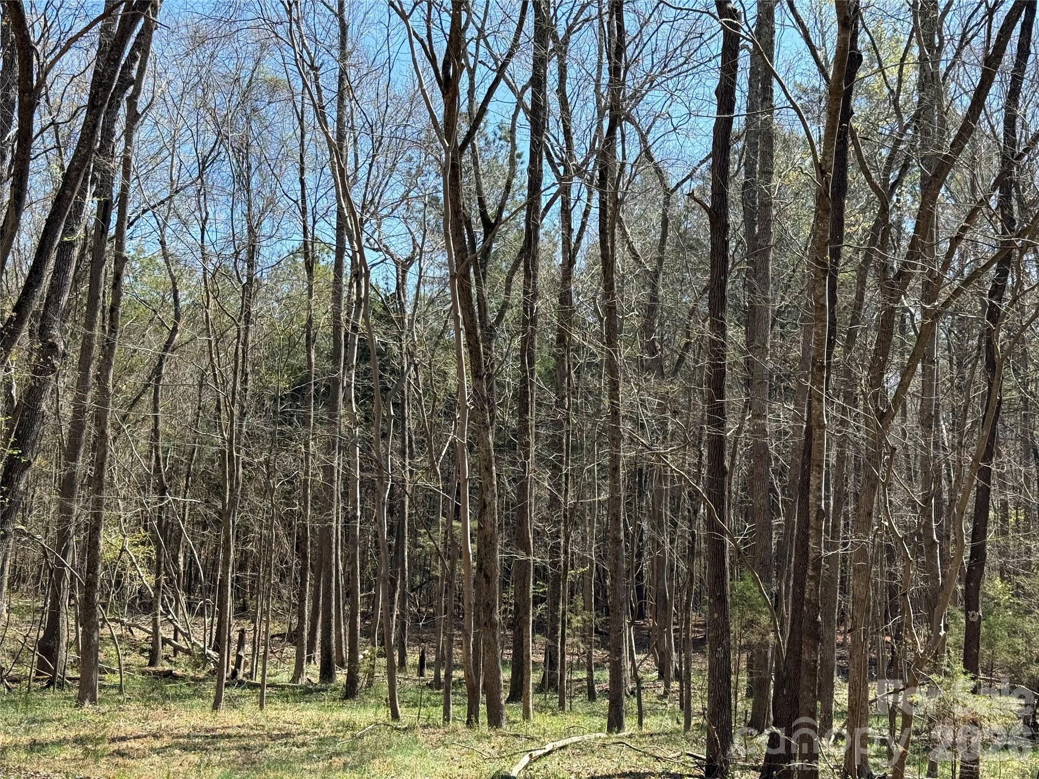 3227 Legend Road Property Photo 14