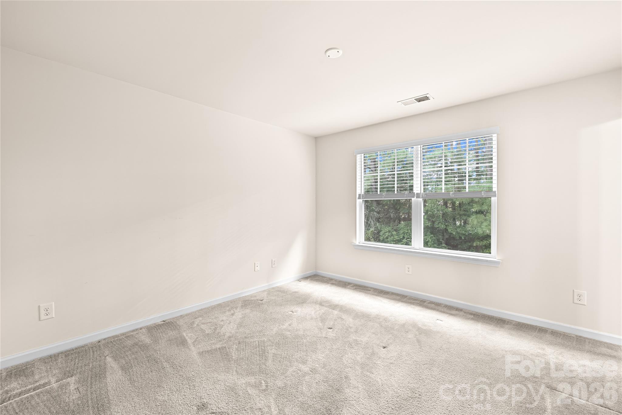 4412437 Property Photo 10