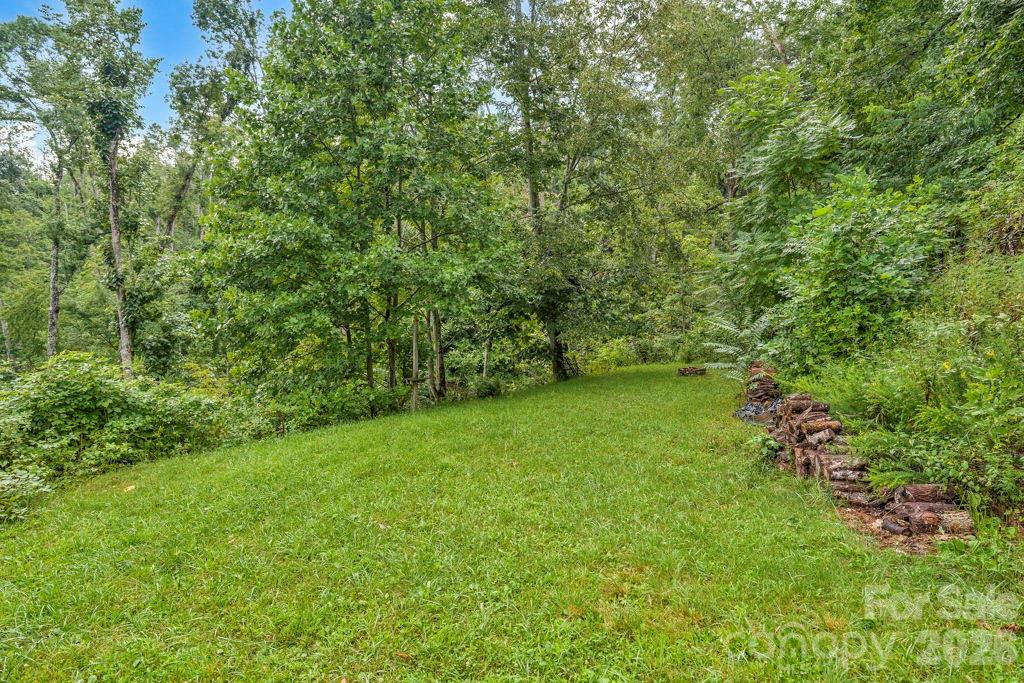 1894 Left Fork Run Road Property Photo 35