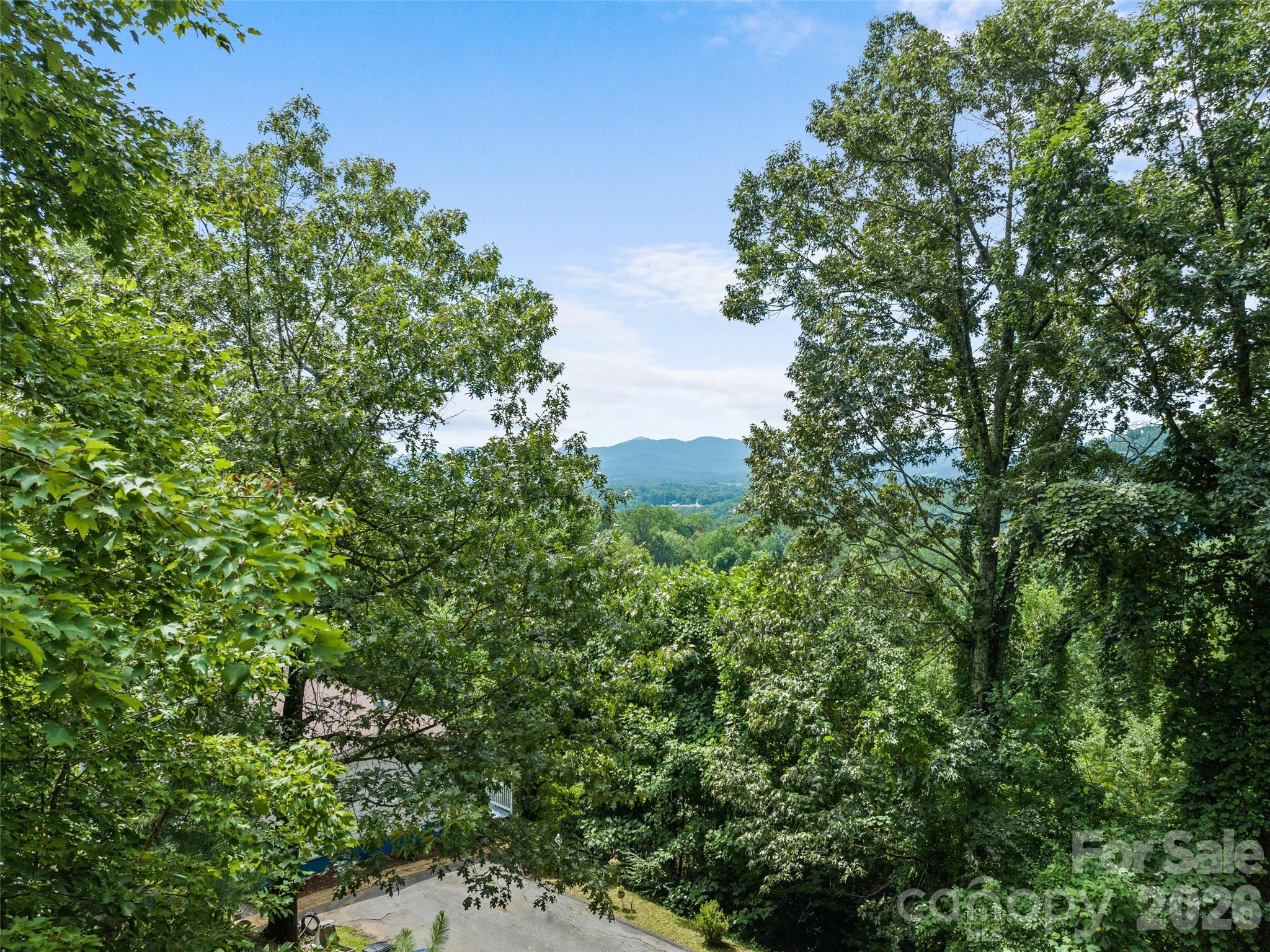 180 Hidden Meadow Drive Property Photo 4