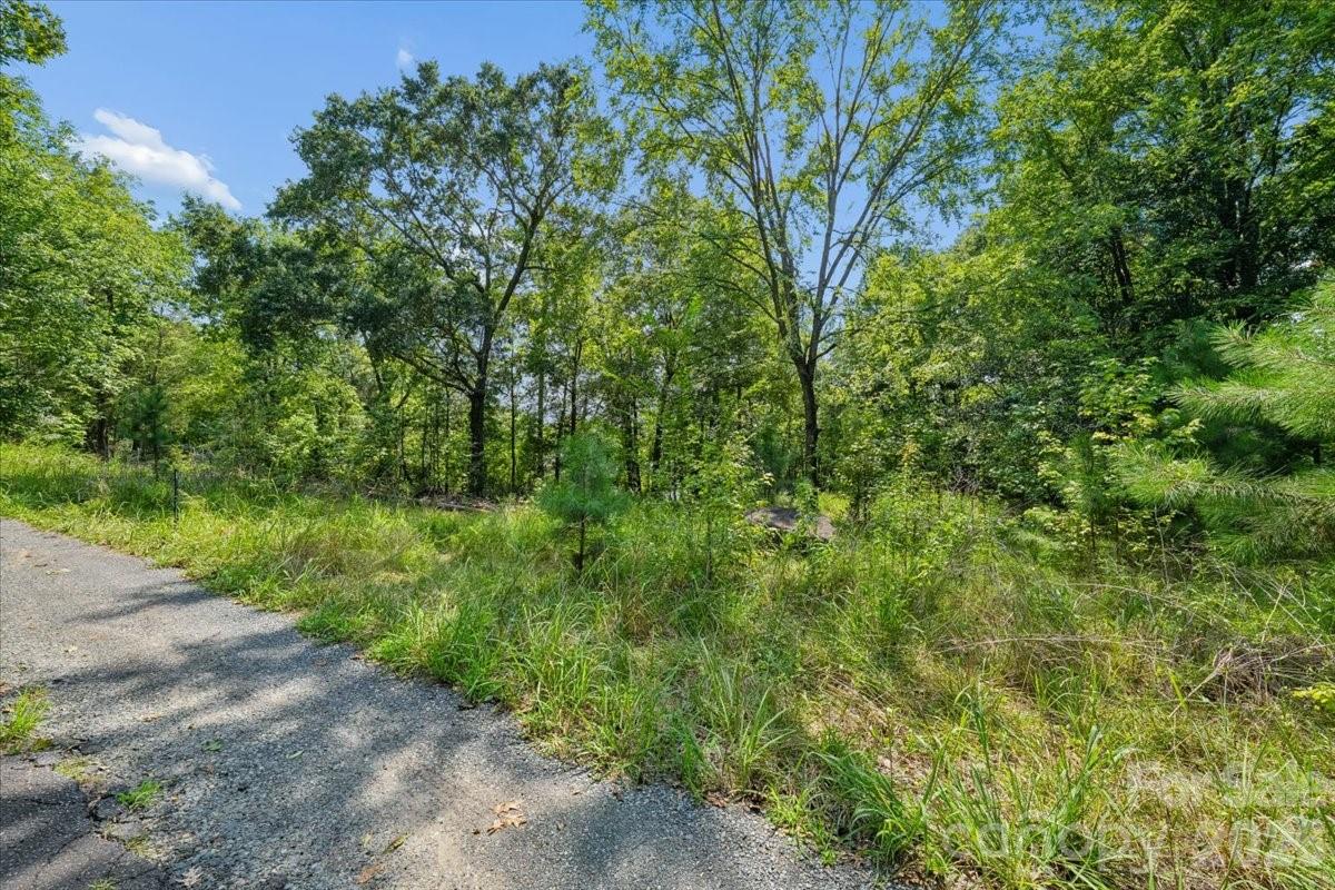 4101 Tuffy Lane Property Photo 7