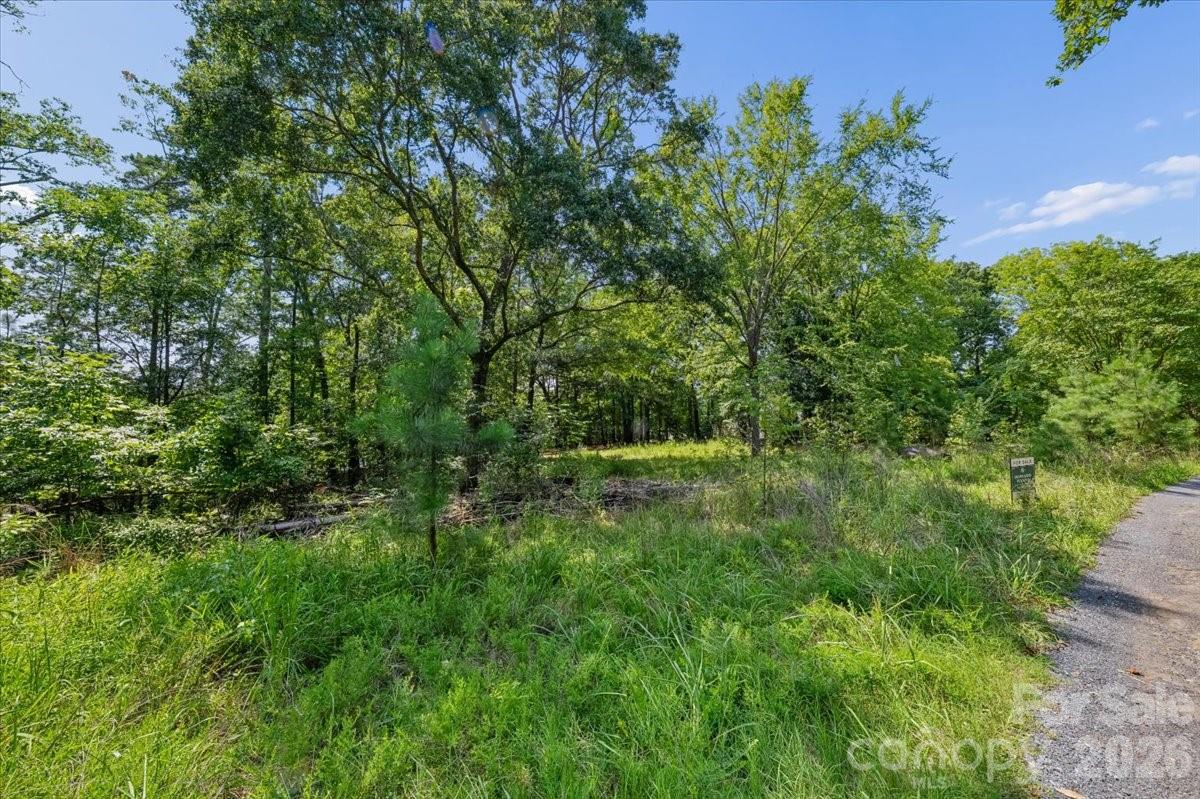 4101 Tuffy Lane Property Photo 8