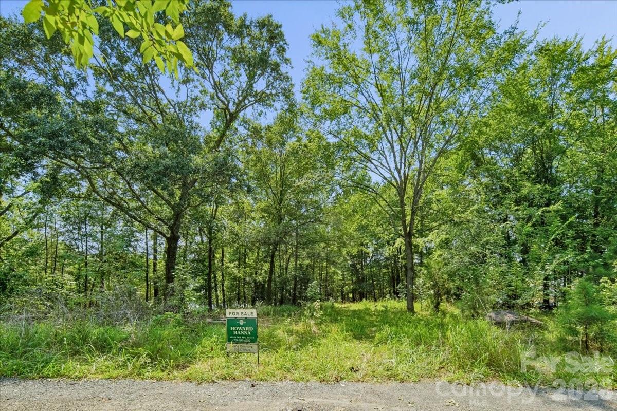 4101 Tuffy Lane Property Photo 9