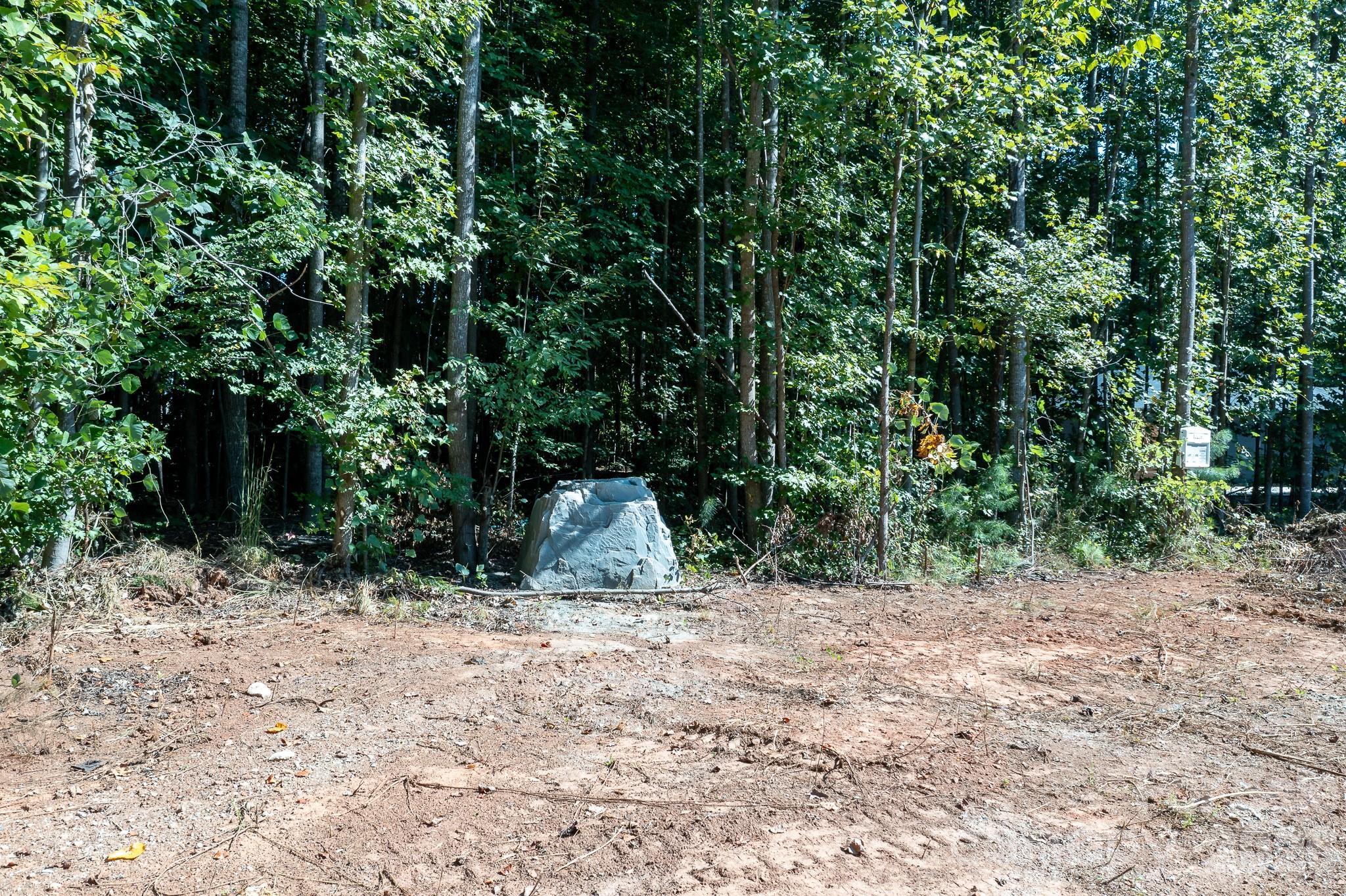 11979 Nc 801 Highway Property Photo 13