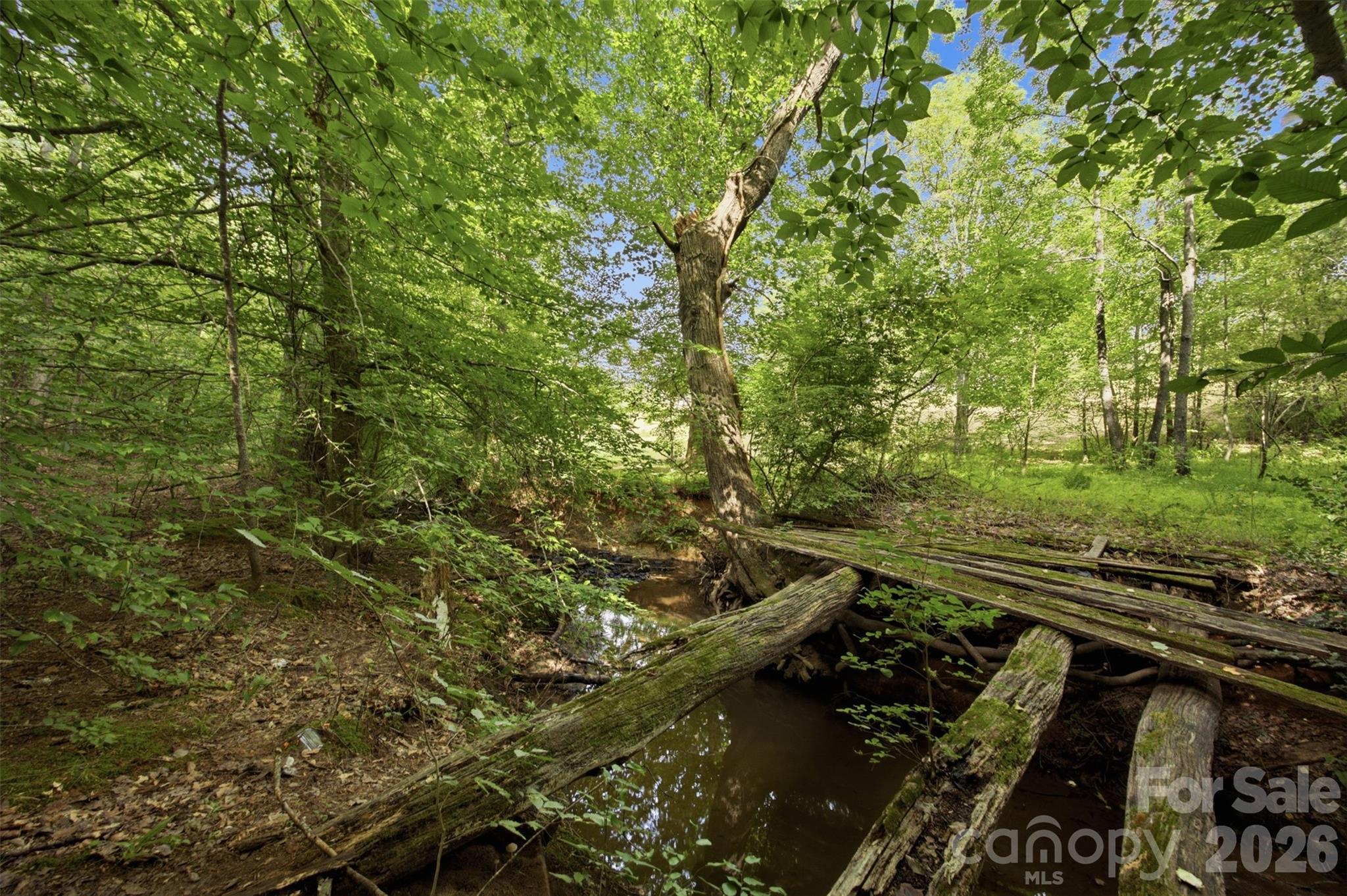 6086 Windover Creek Lane Property Photo 35