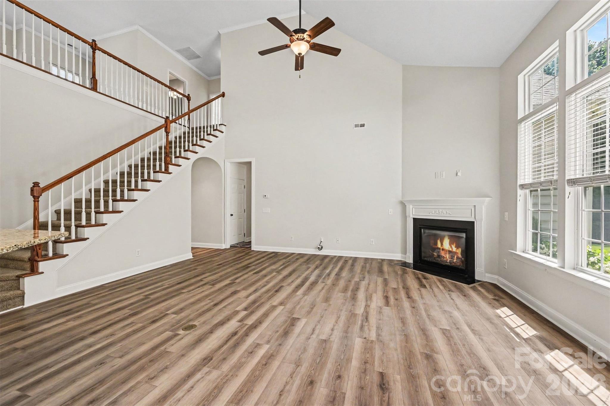 1162 Gold Rush Court Property Photo 3