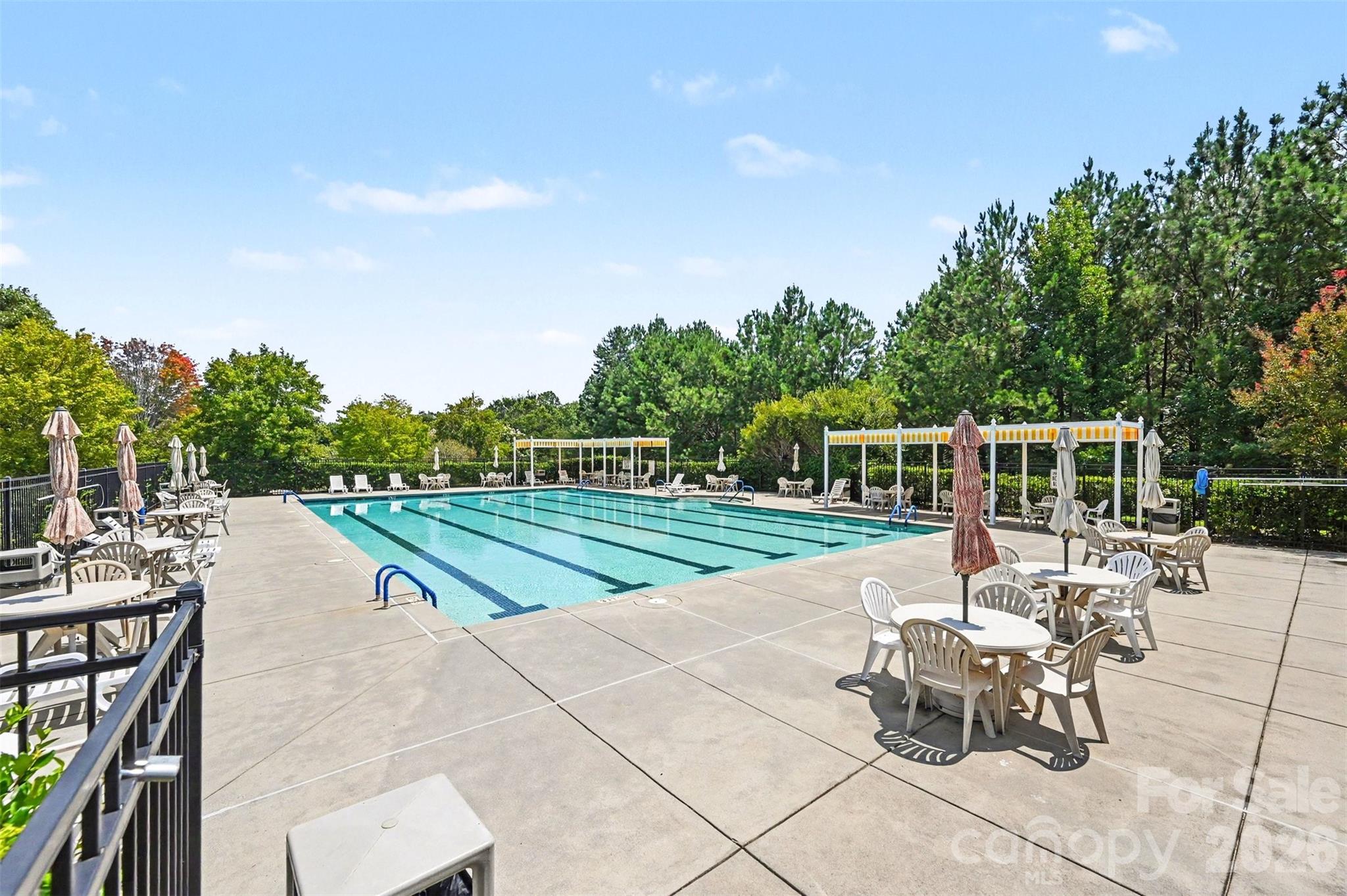 1162 Gold Rush Court Property Photo 44