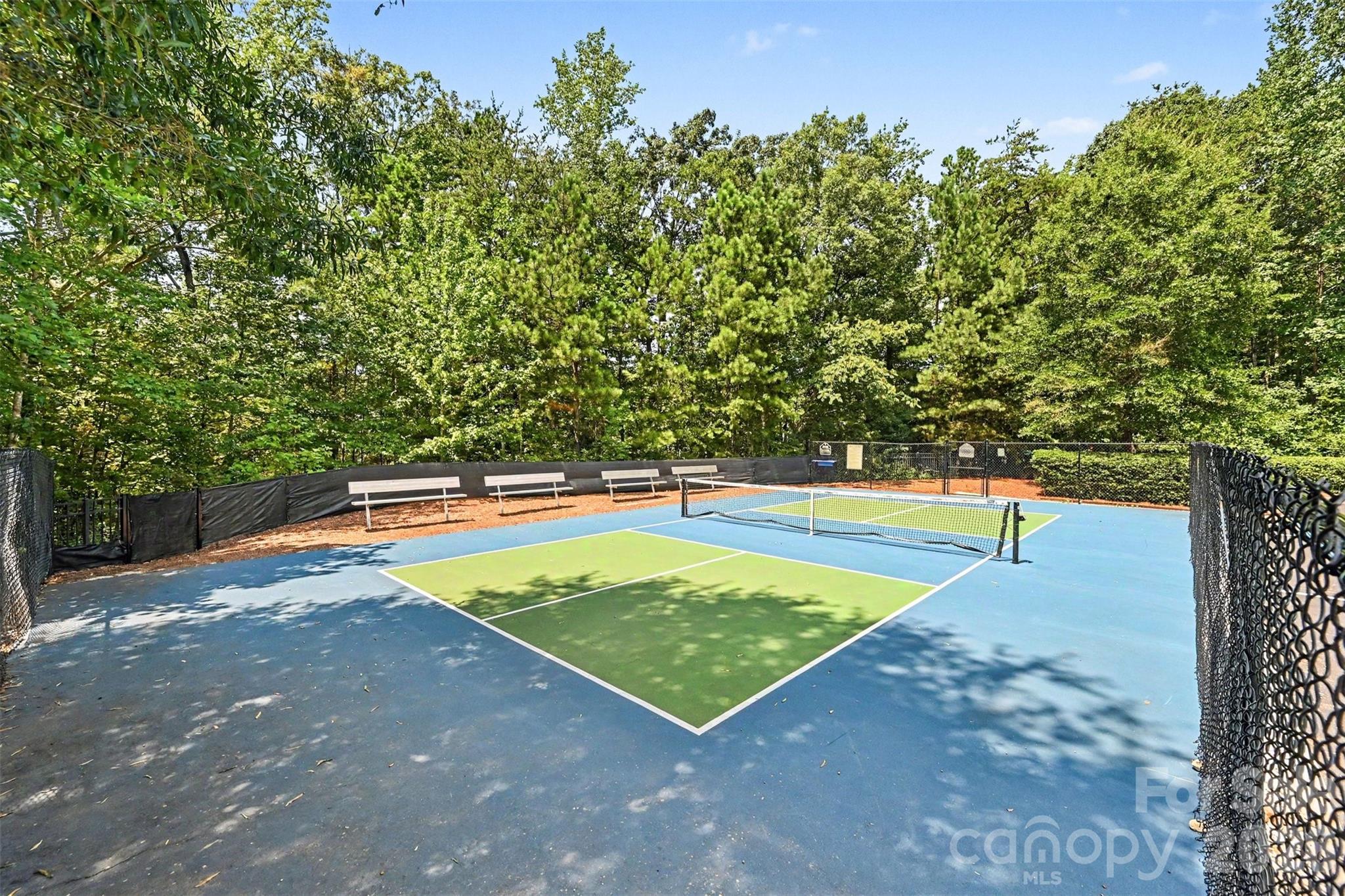 1162 Gold Rush Court Property Photo 47