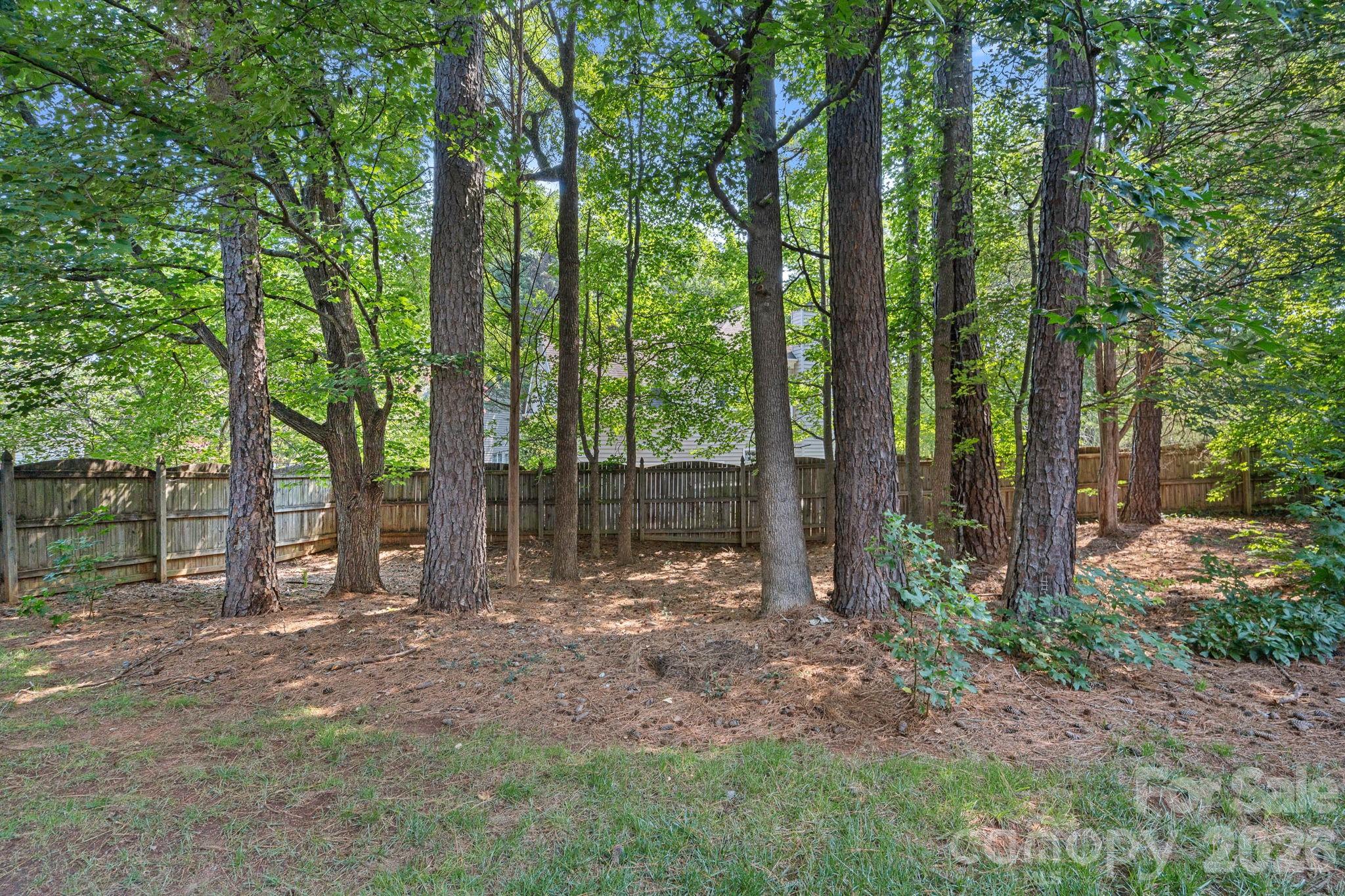 2428 Tarleton Twins Terrace Property Photo 37