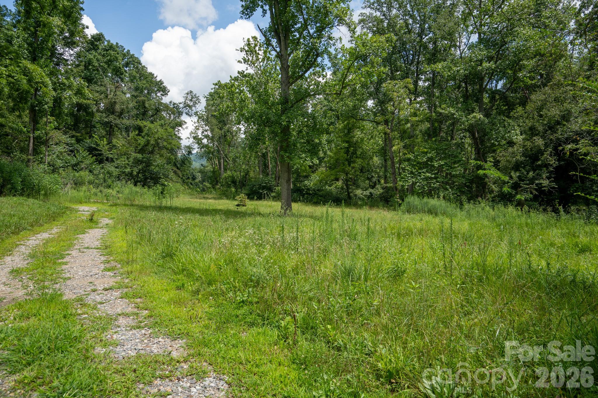 278 Shope Creek Road Property Photo 3
