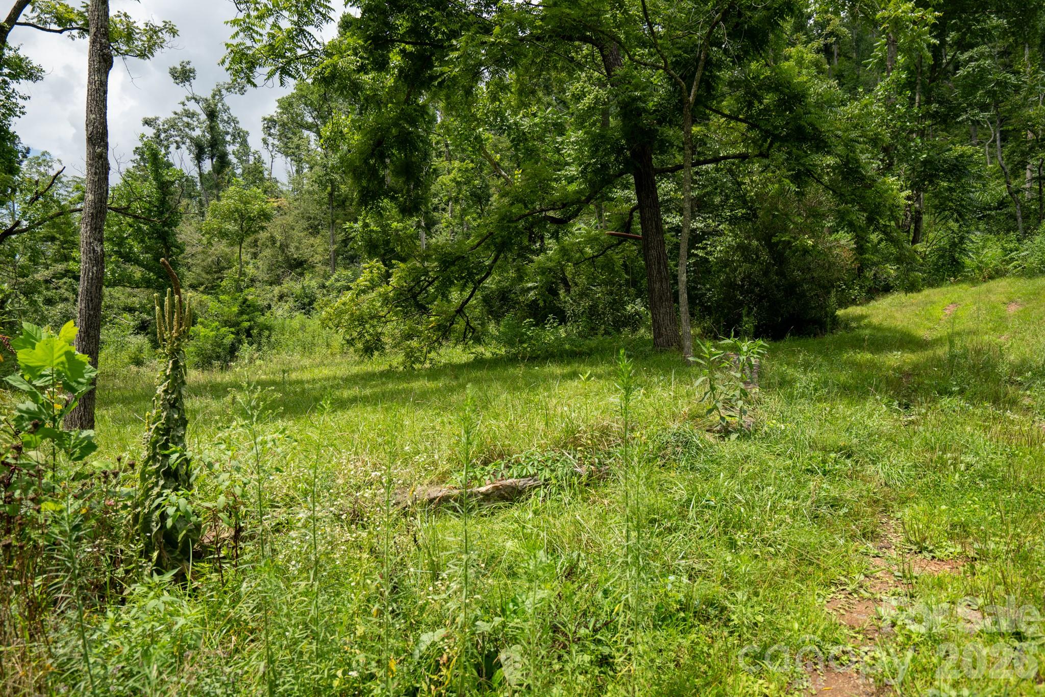 278 Shope Creek Road Property Photo 28